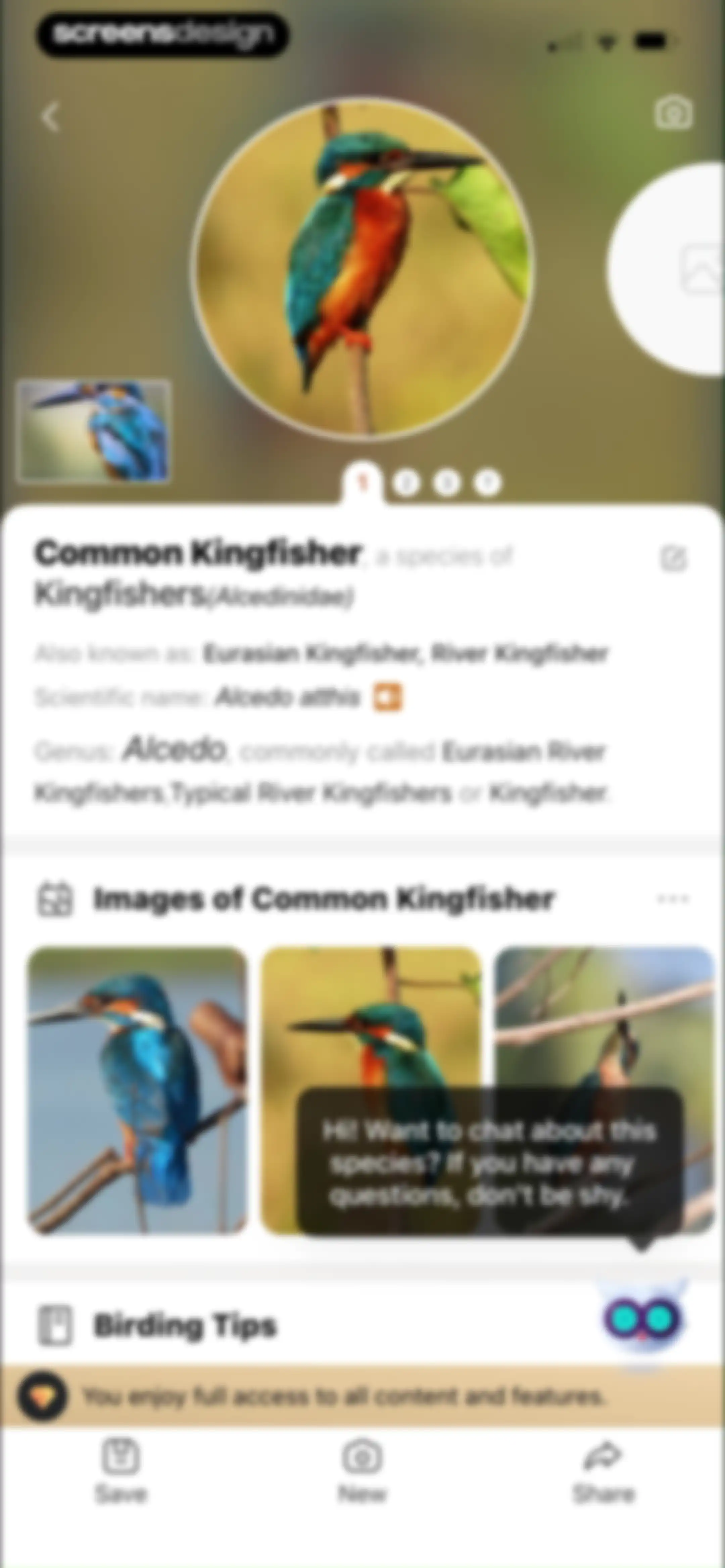 Picture Bird: Bird identifier screen 30