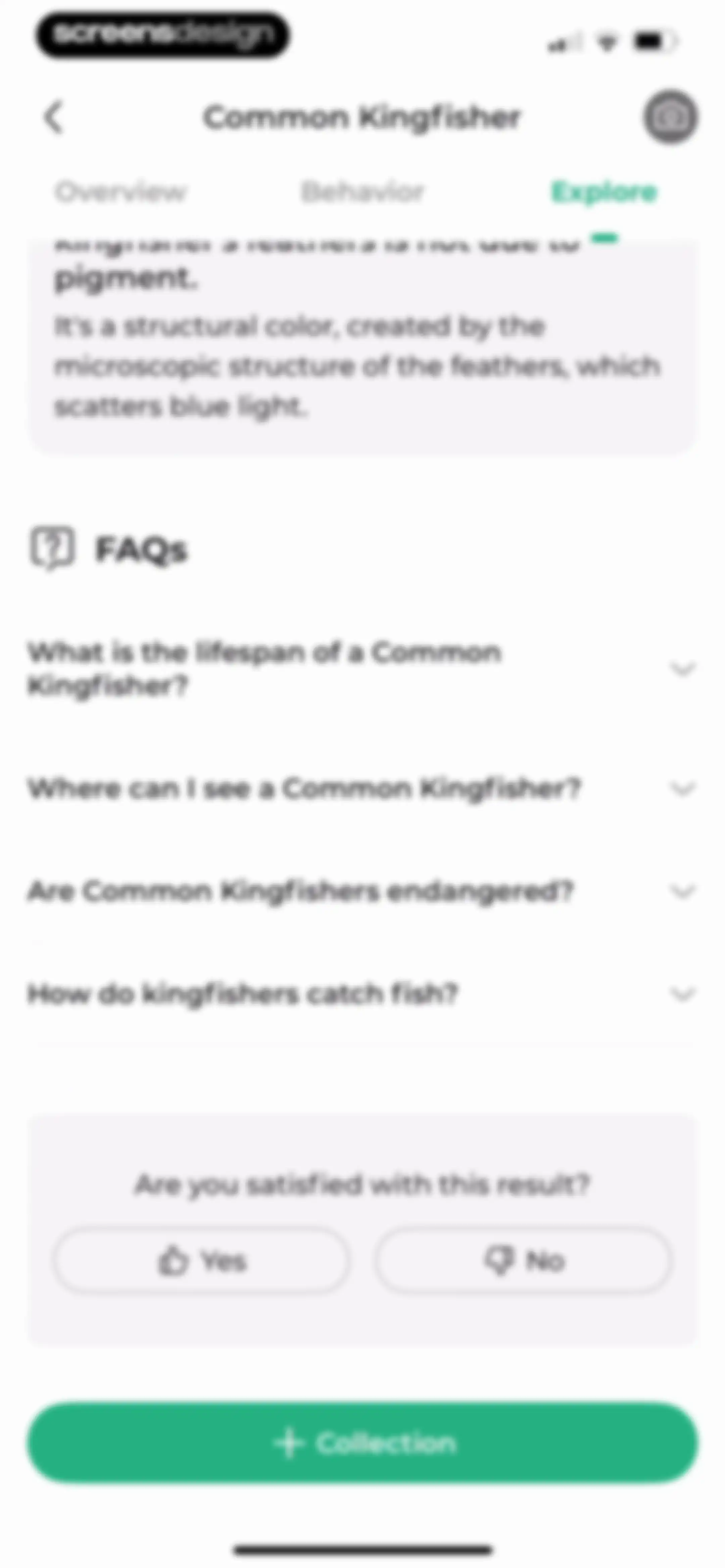 Bird Identifier: BirdScope screen 30