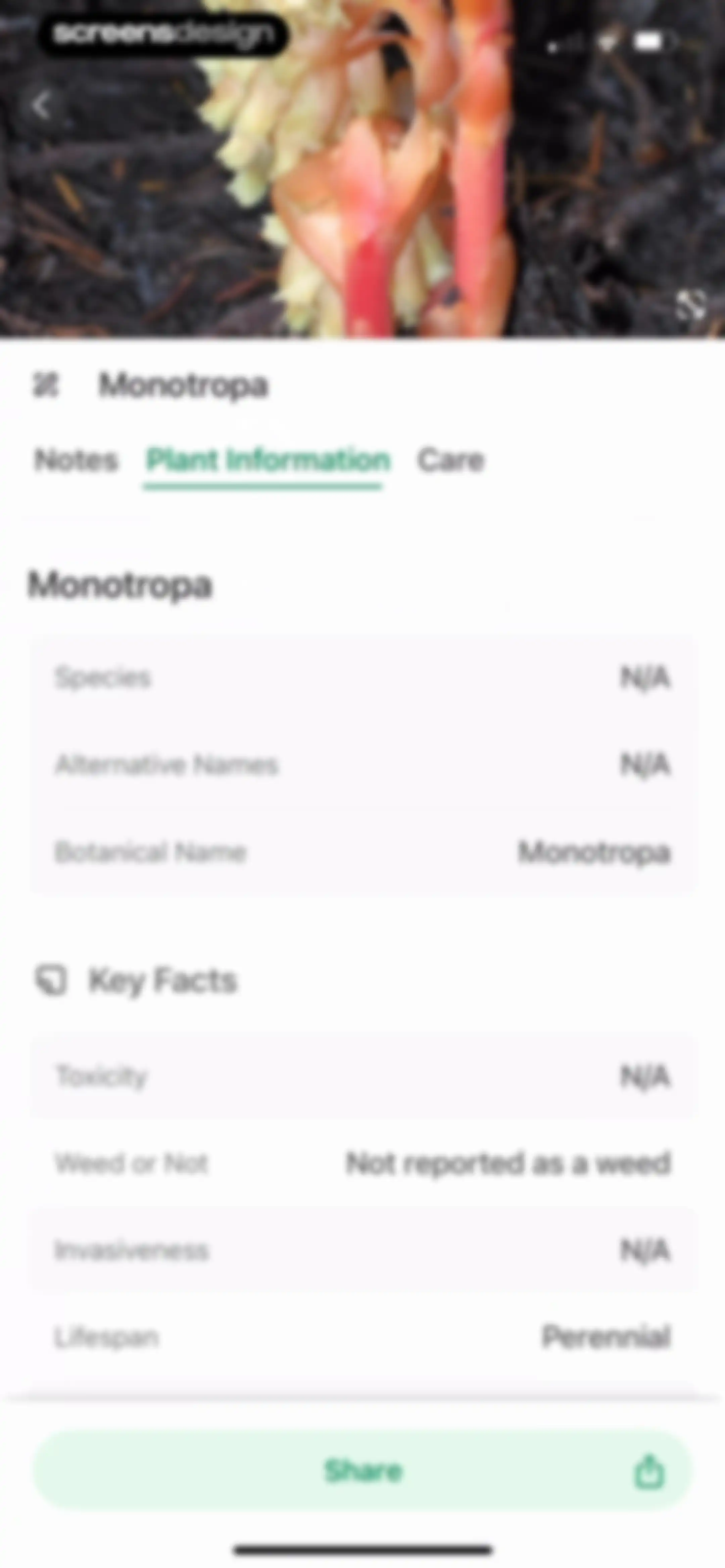 Identify My Plant Now screen 79