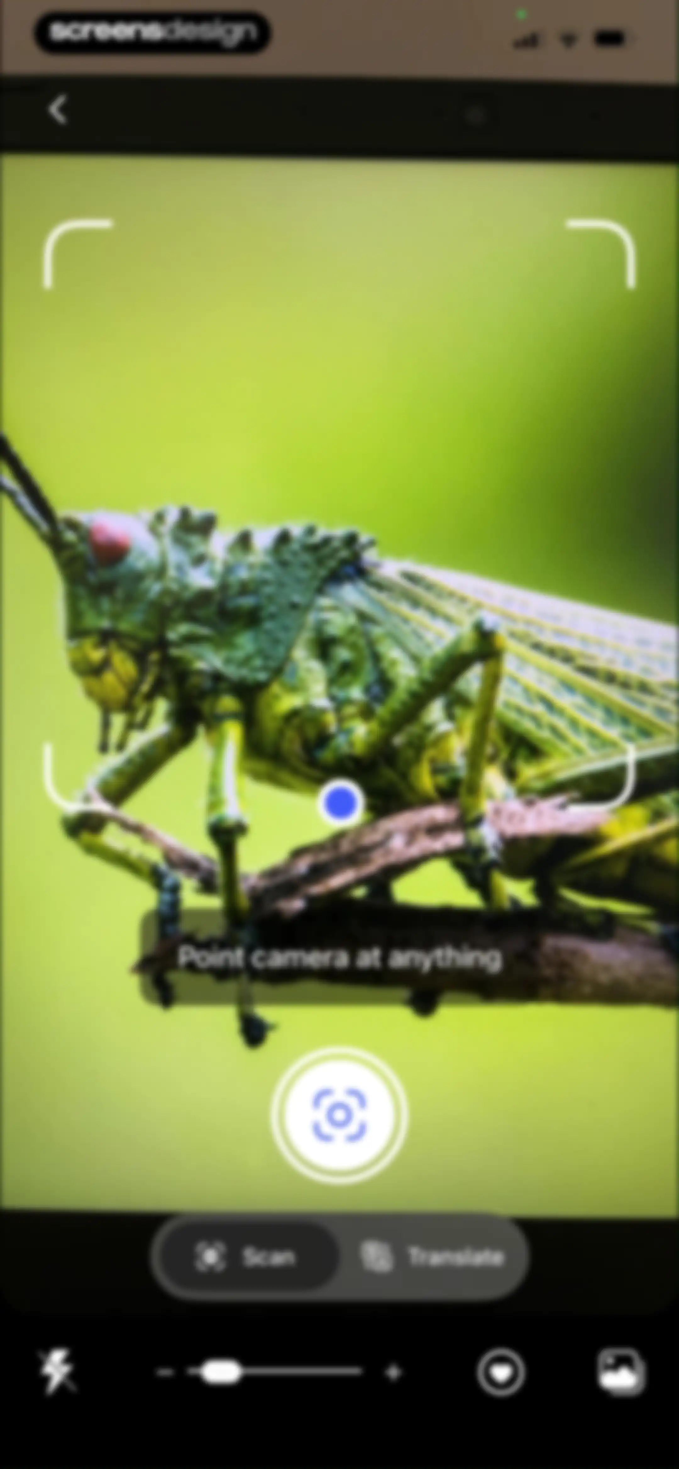 LensAI・Identifier・Image Search screen 43