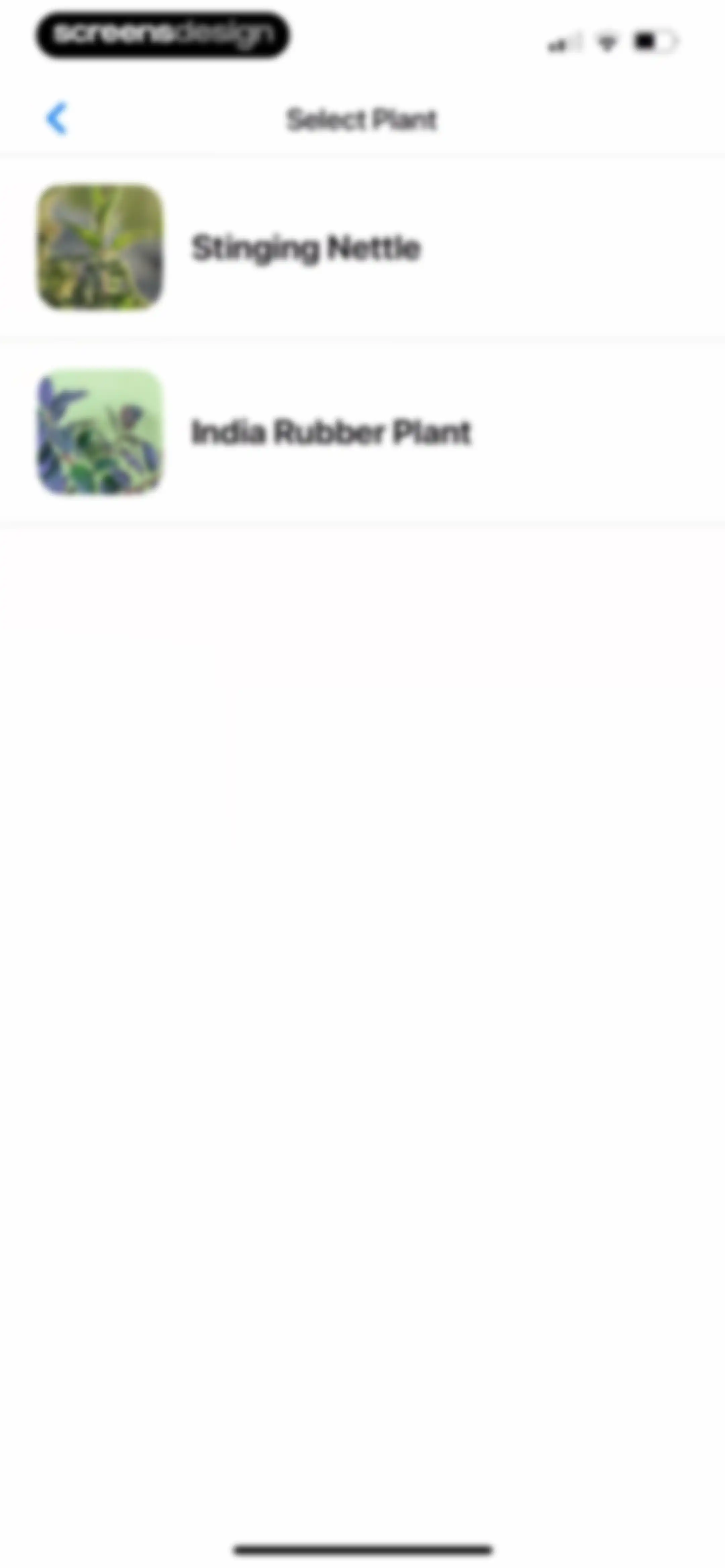 Plant App: Plant Identifier screen 89