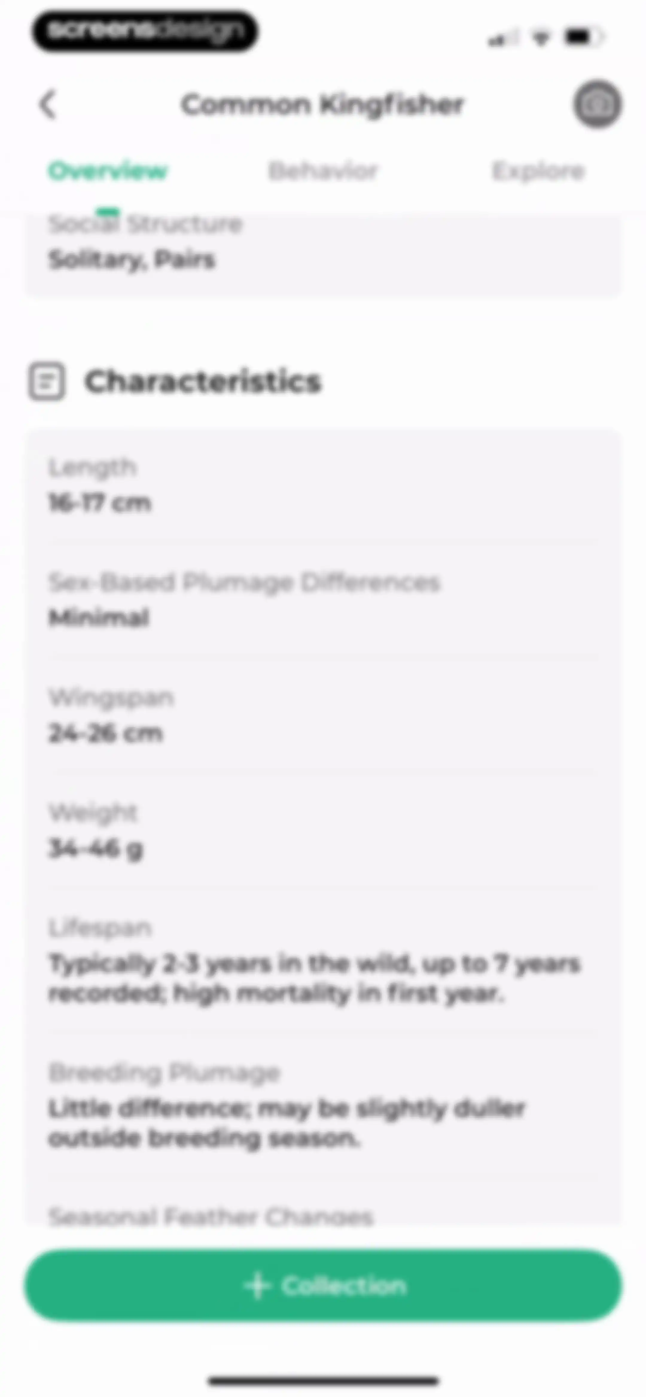 Bird Identifier: BirdScope screen 27