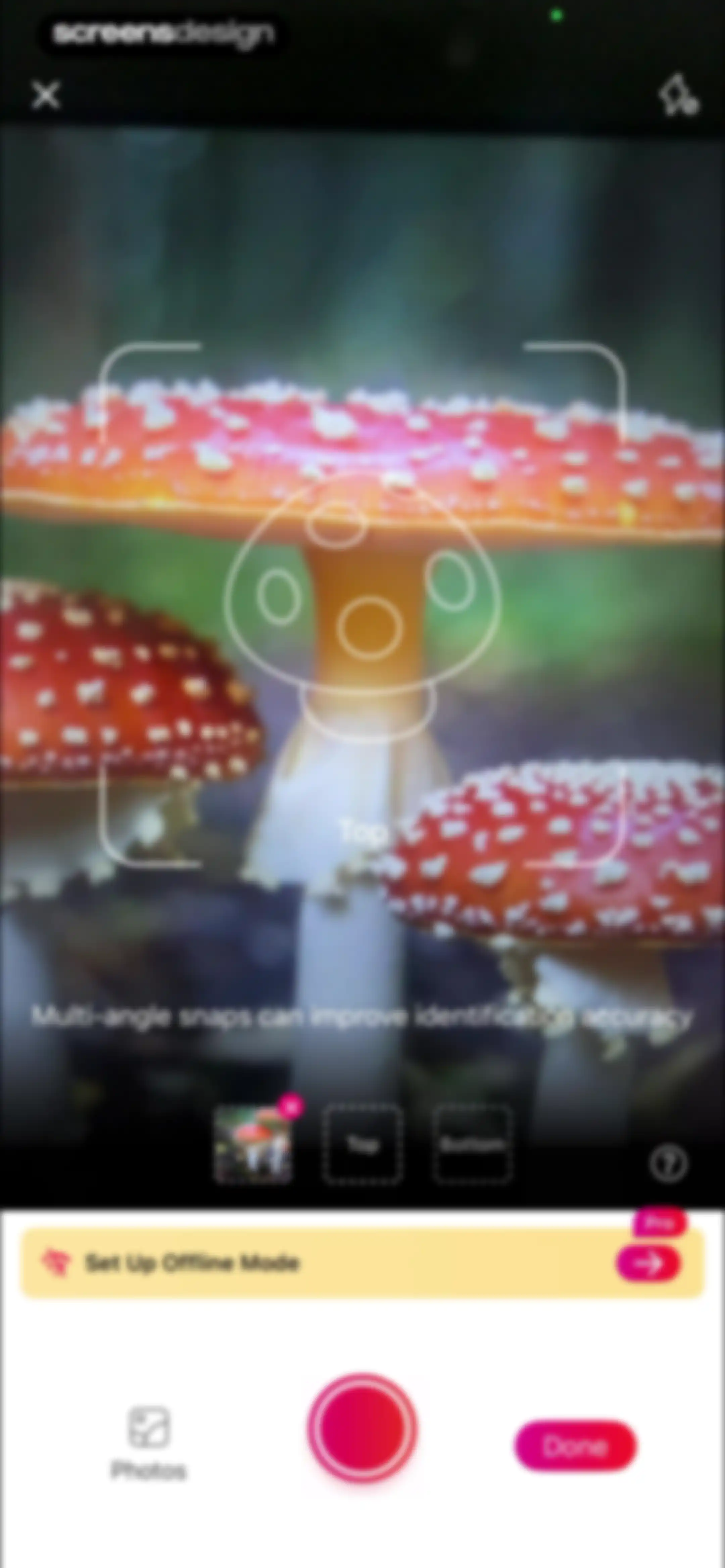 Picture Mushroom: Identifier screen 21