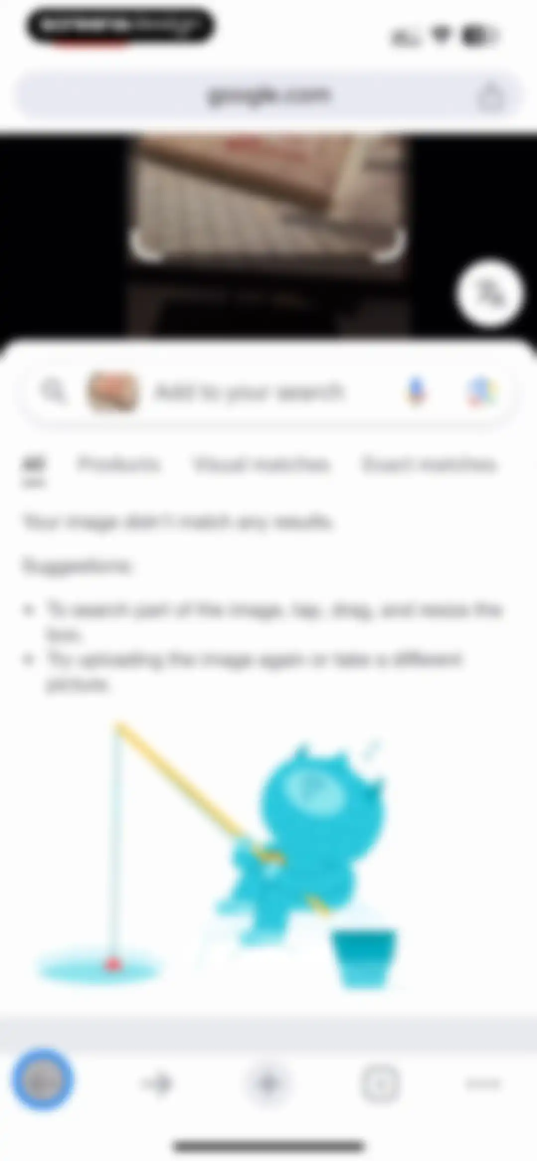 Google Chrome screen 48
