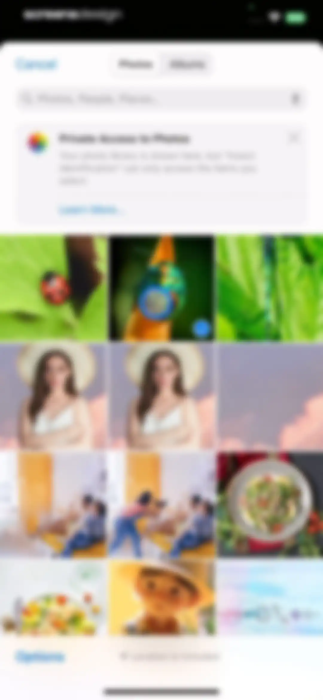 Bug Identifier: AI Insect id screen 10