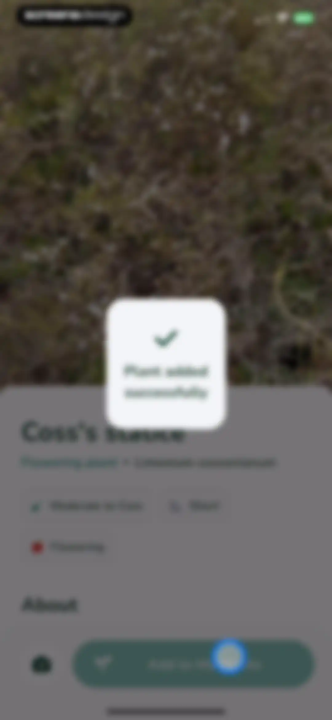 Plantify: AI Plant Identifier screen 27