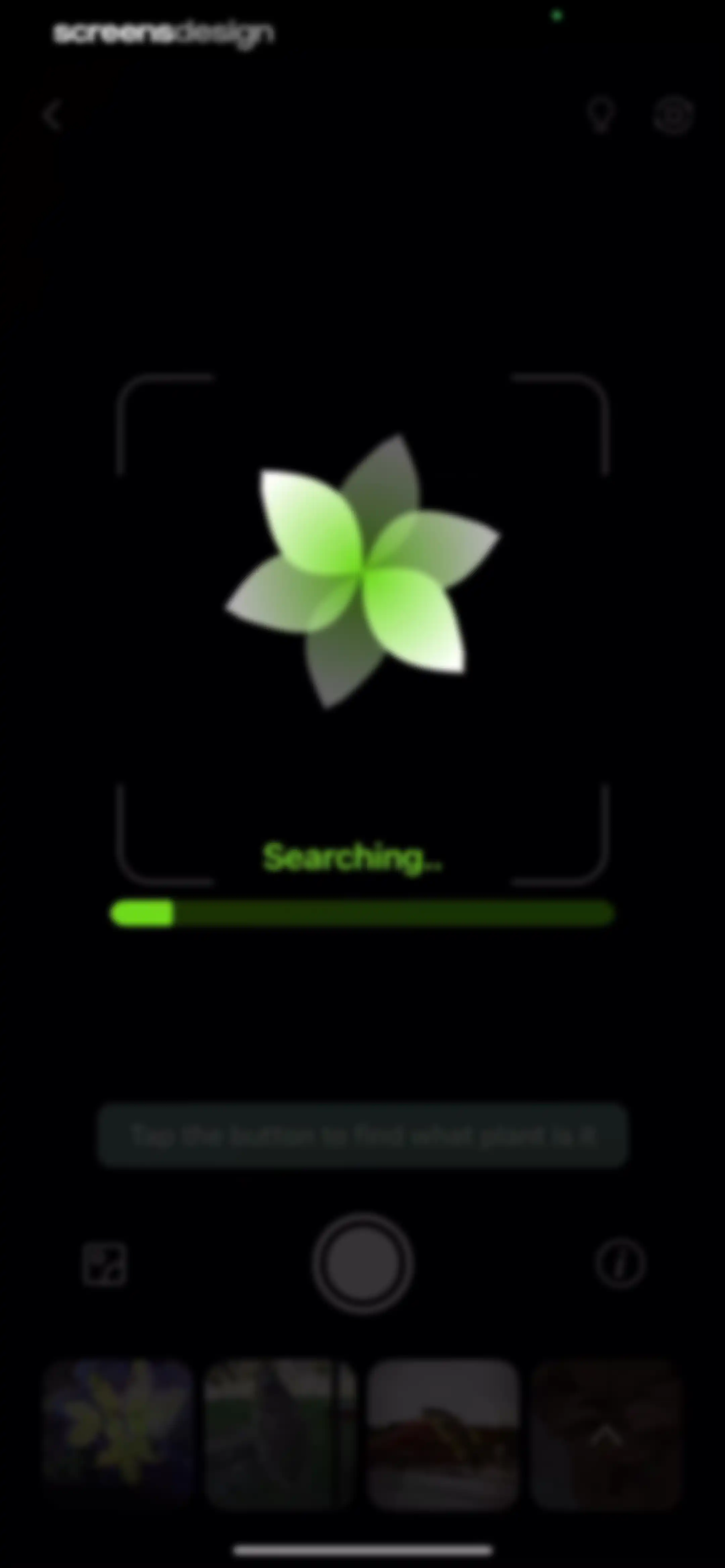 Verde Finder : identify plants screen 39