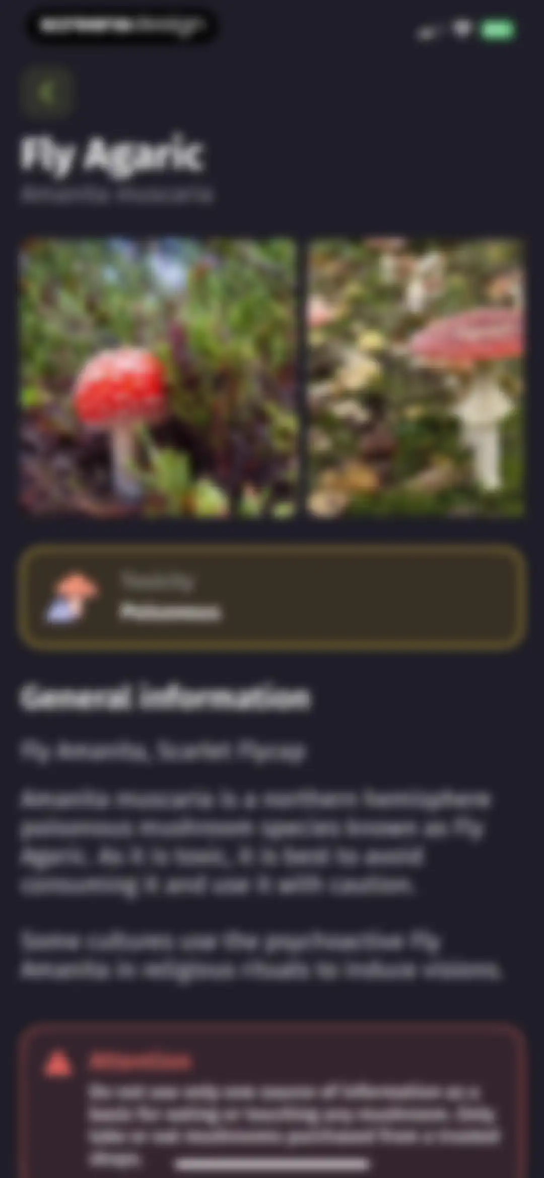 Plantion - Plant Identifier screen 55