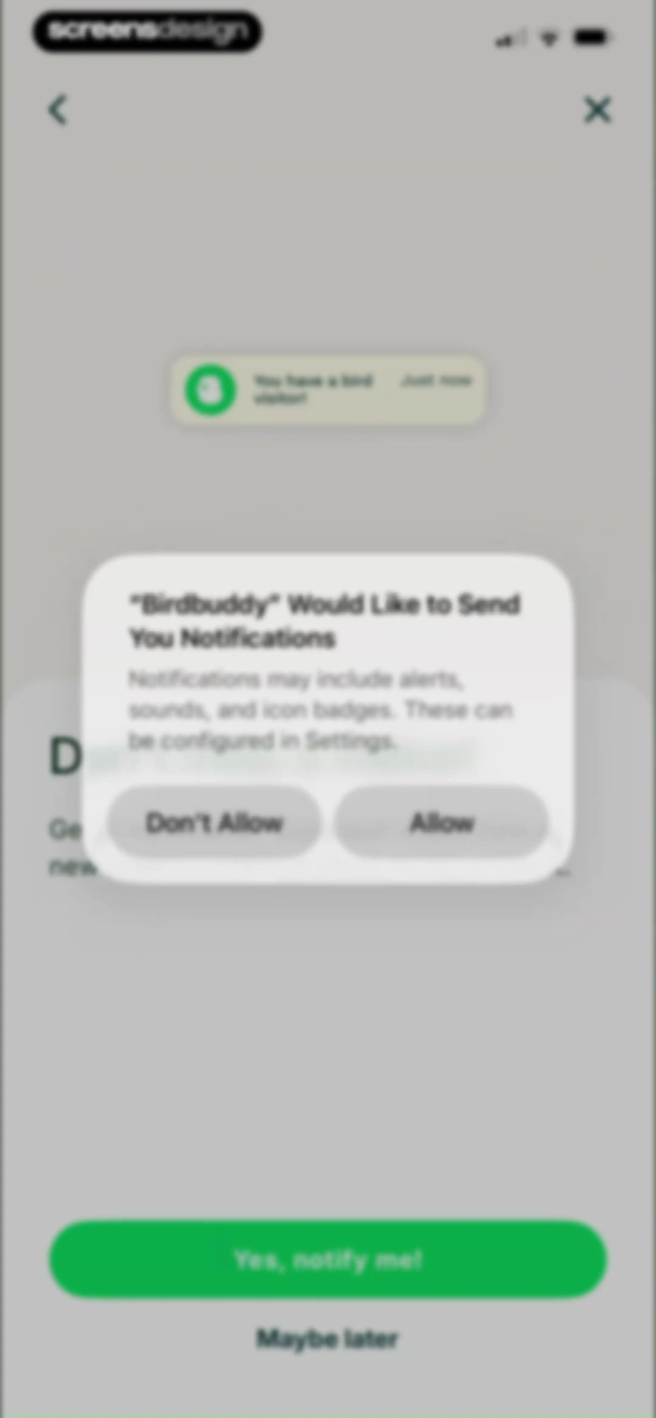 Birdbuddy: ID & Collect Birds screen 12
