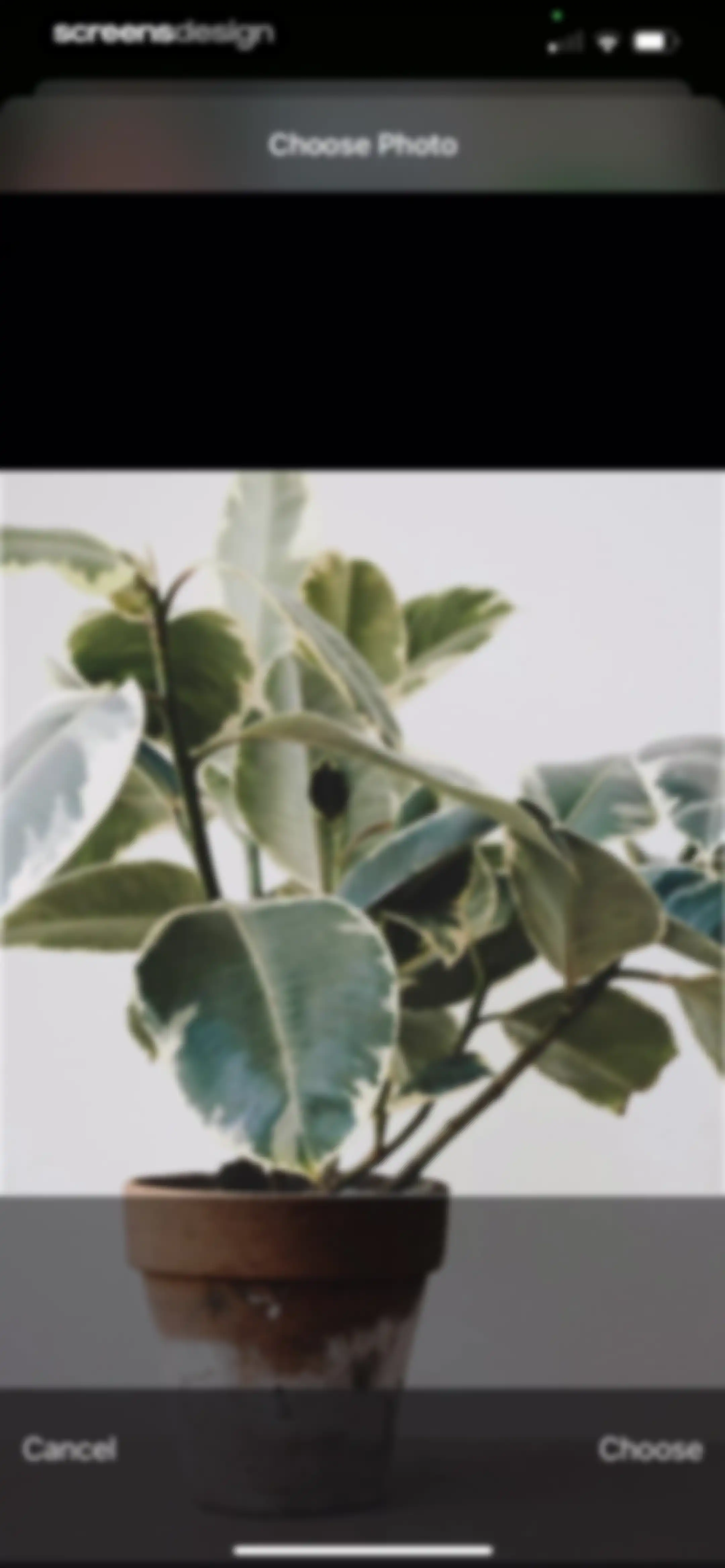 Plant Identifier & Care App screen 46