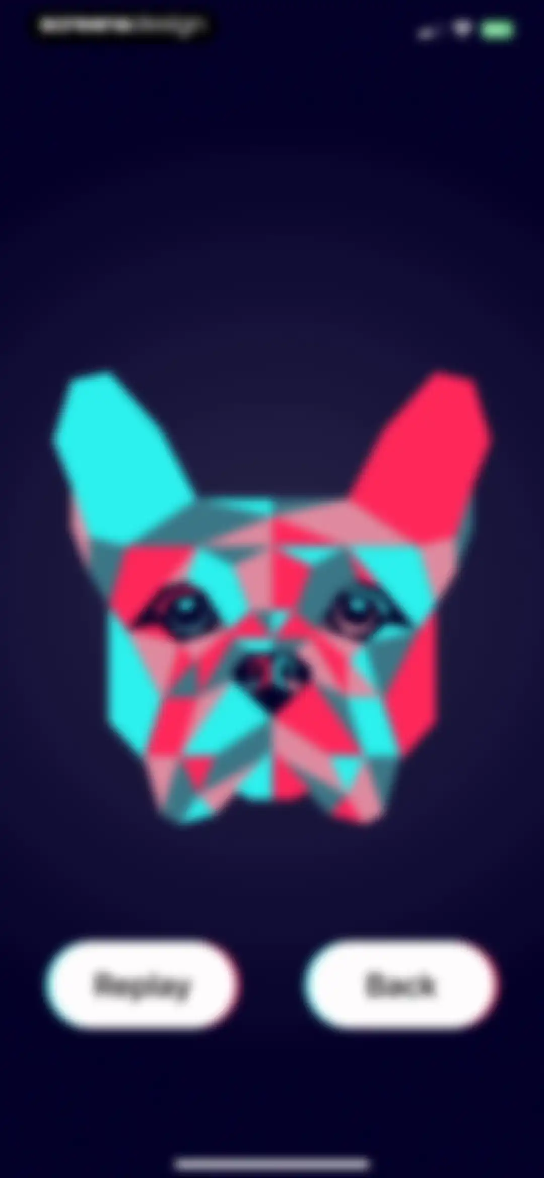 DogTok screen 8
