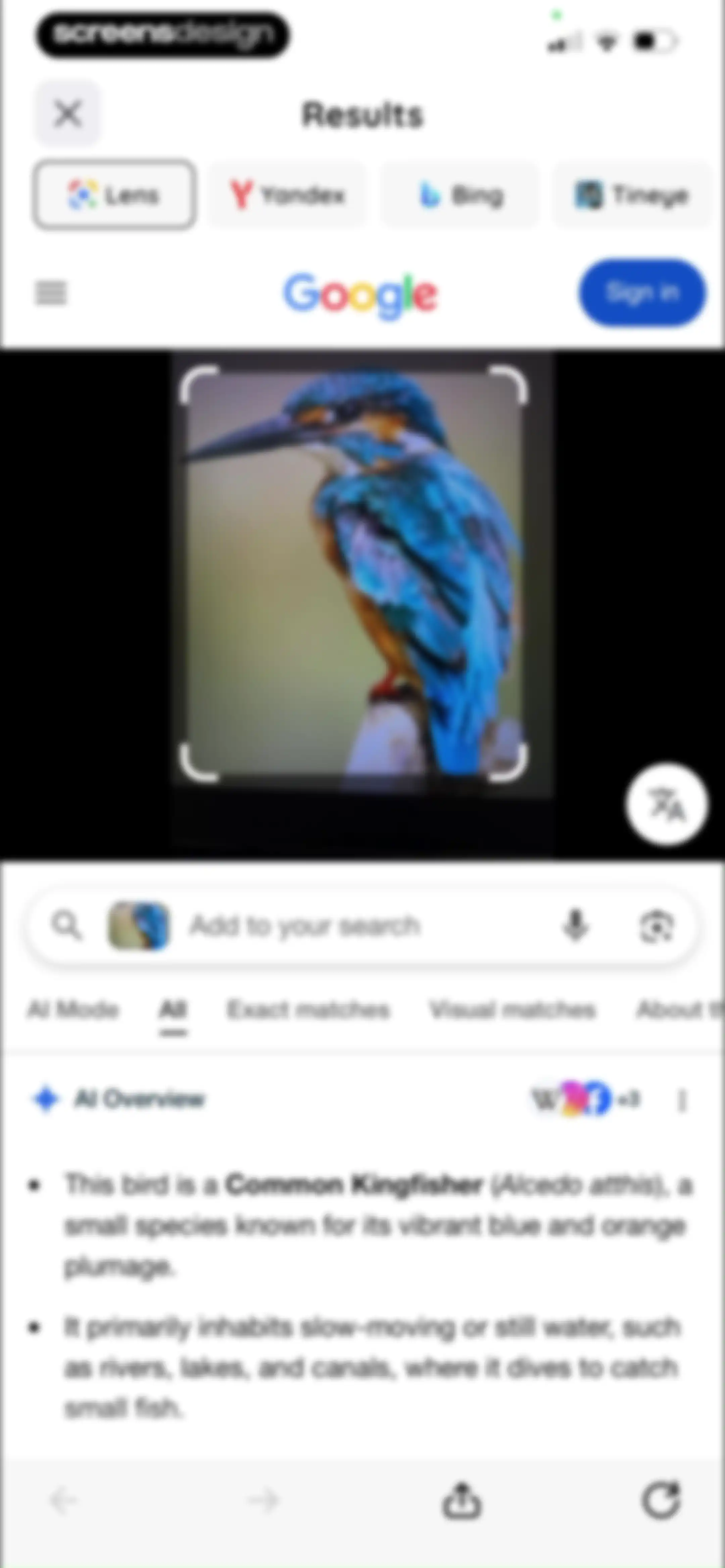Lens: Translate & Image Search screen 18