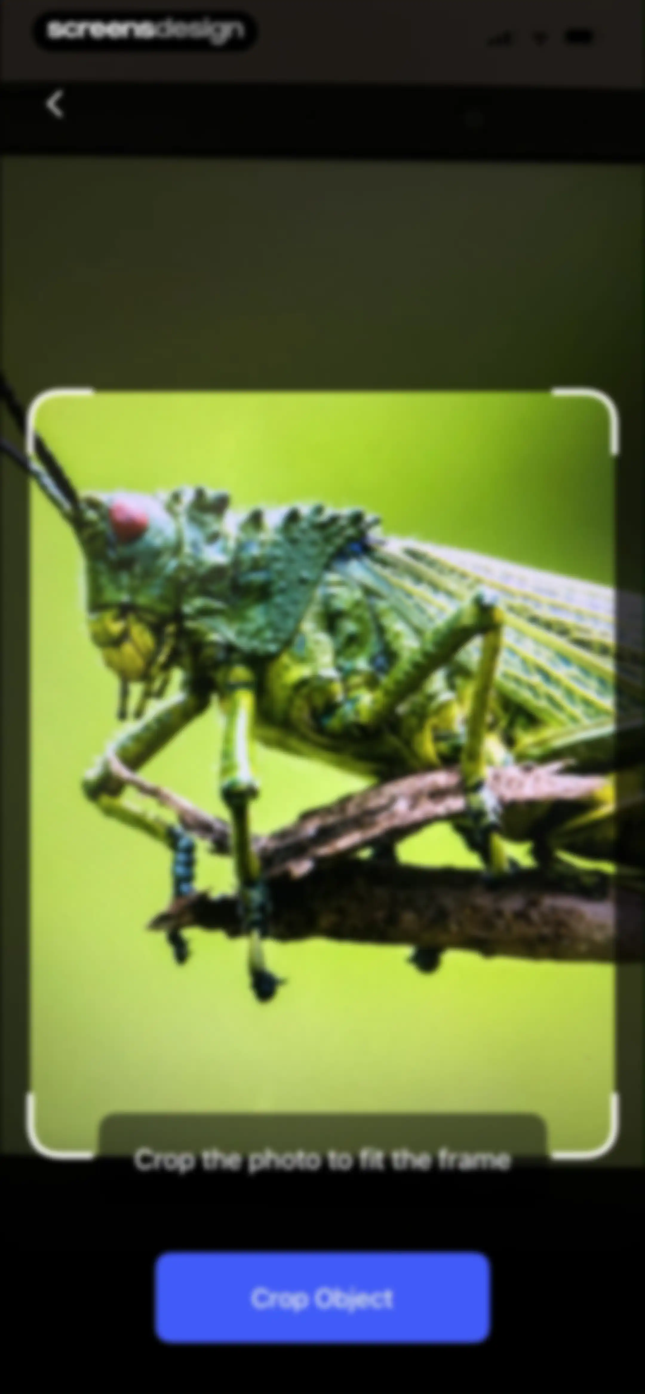LensAI・Identifier・Image Search screen 44