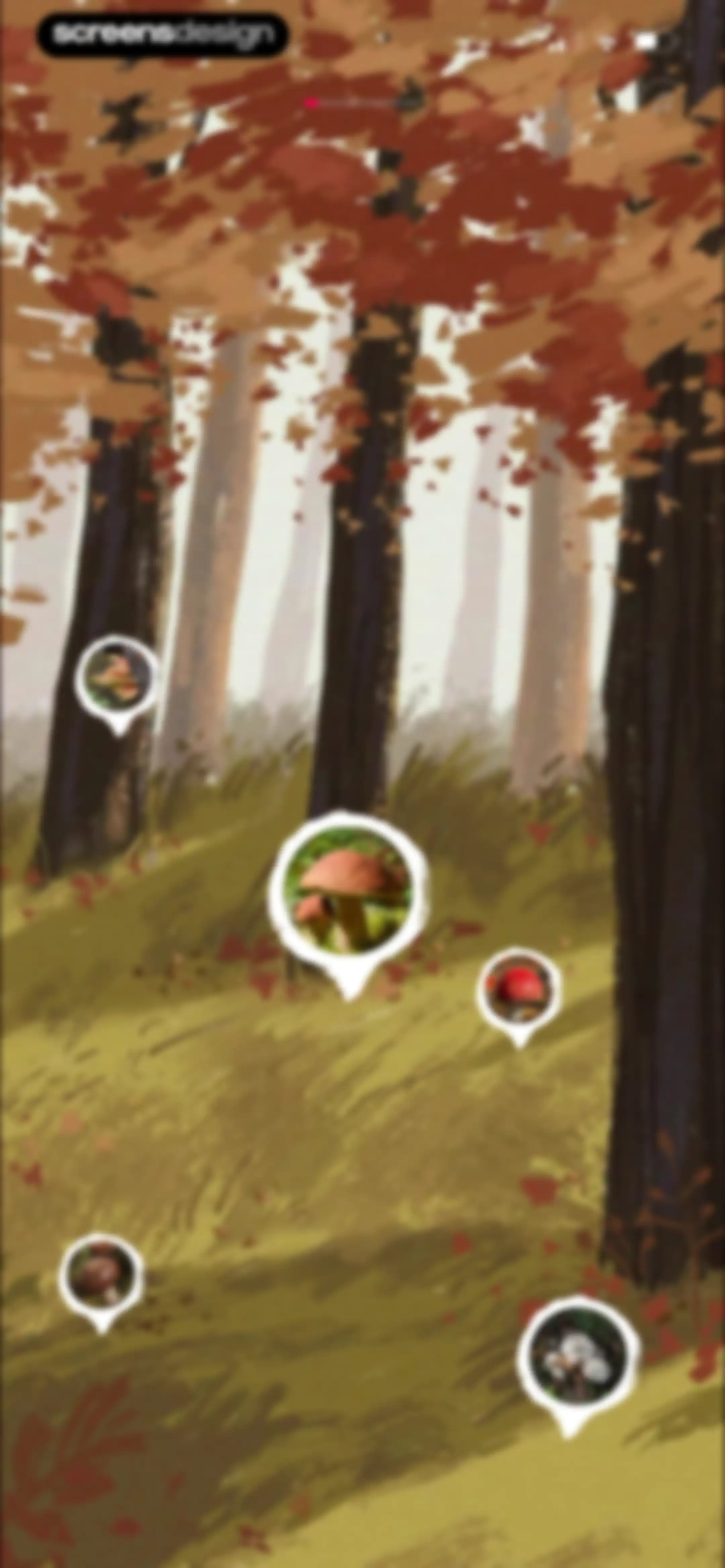 Picture Mushroom: Identifier screen 6