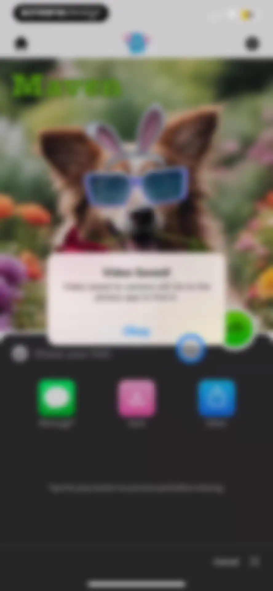 My Talking Pet screen 21
