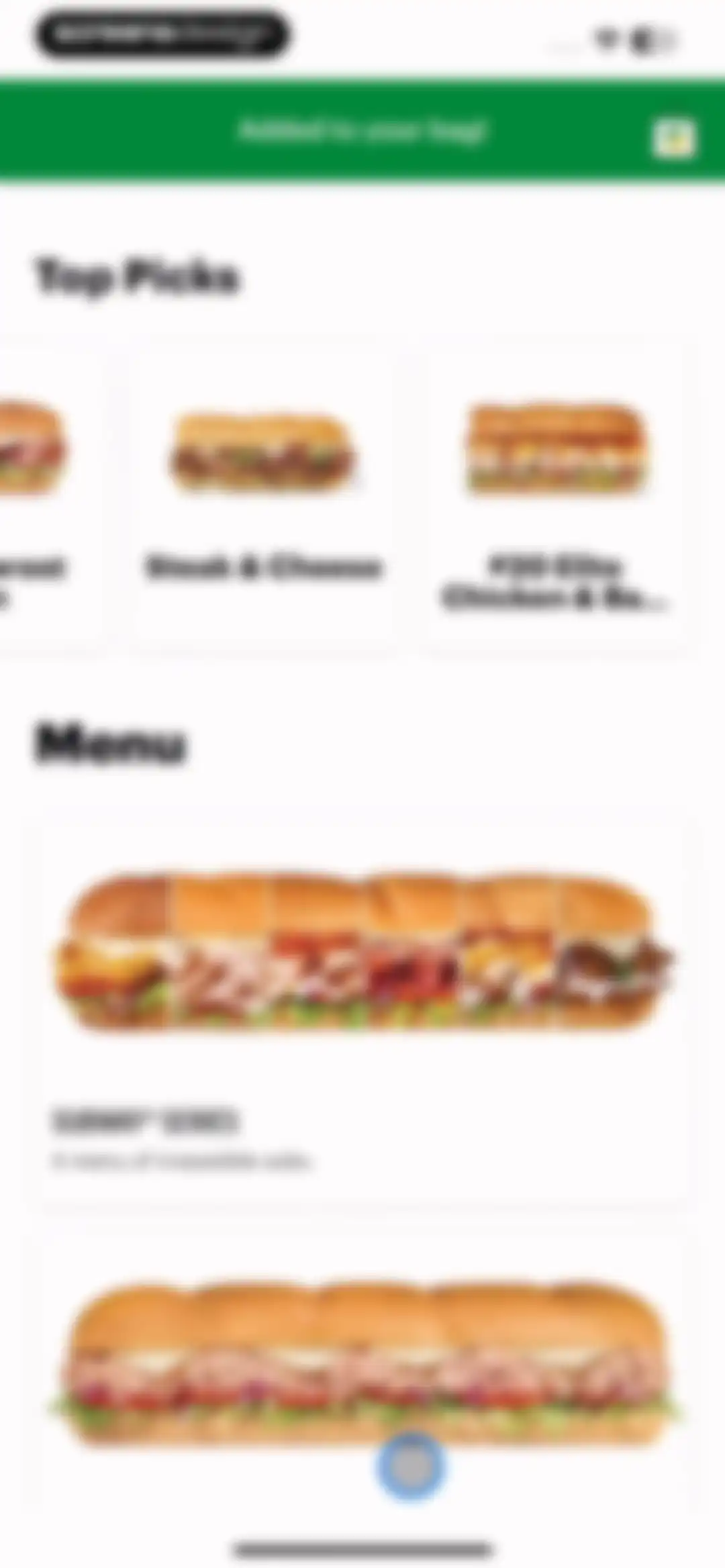 Subway® screen 31