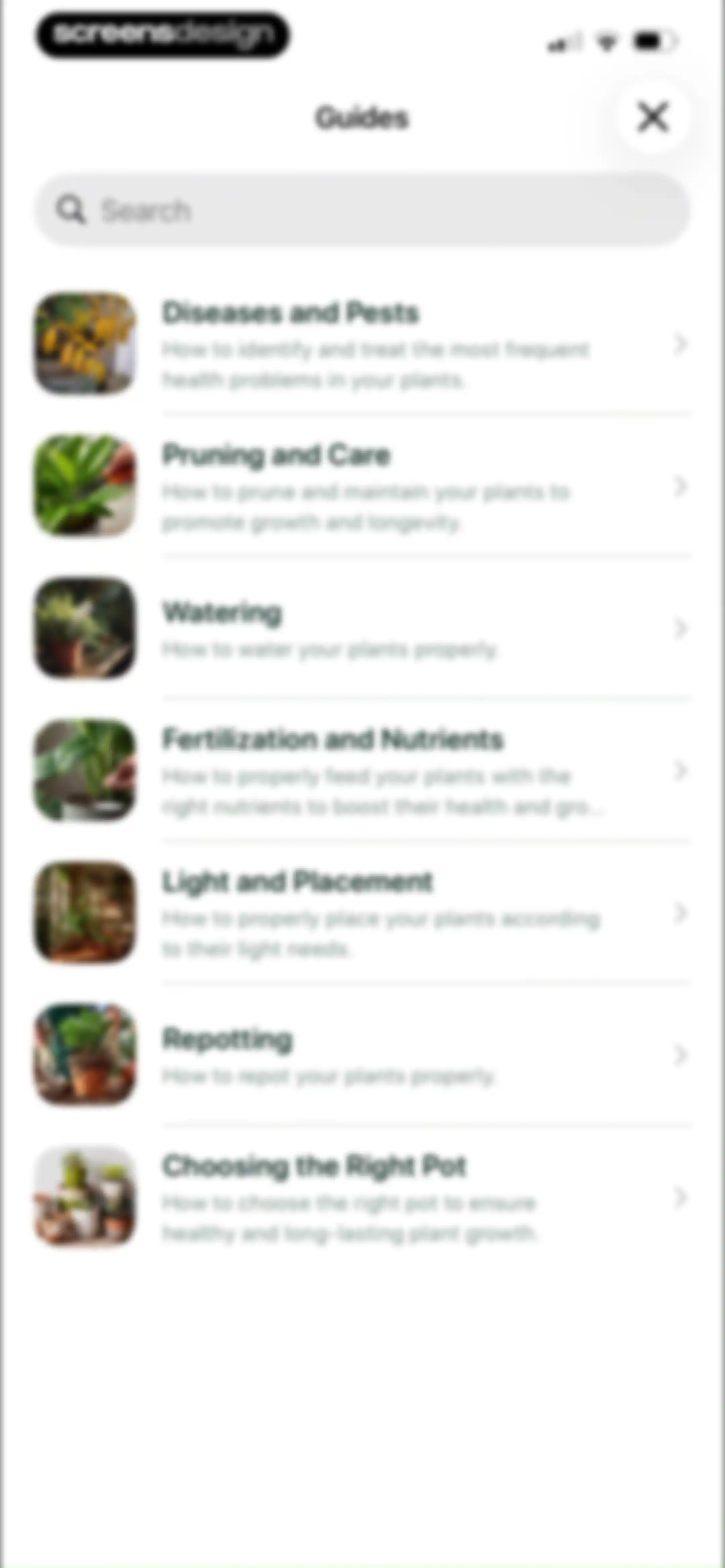 Planto: Plant Identifier screen 36