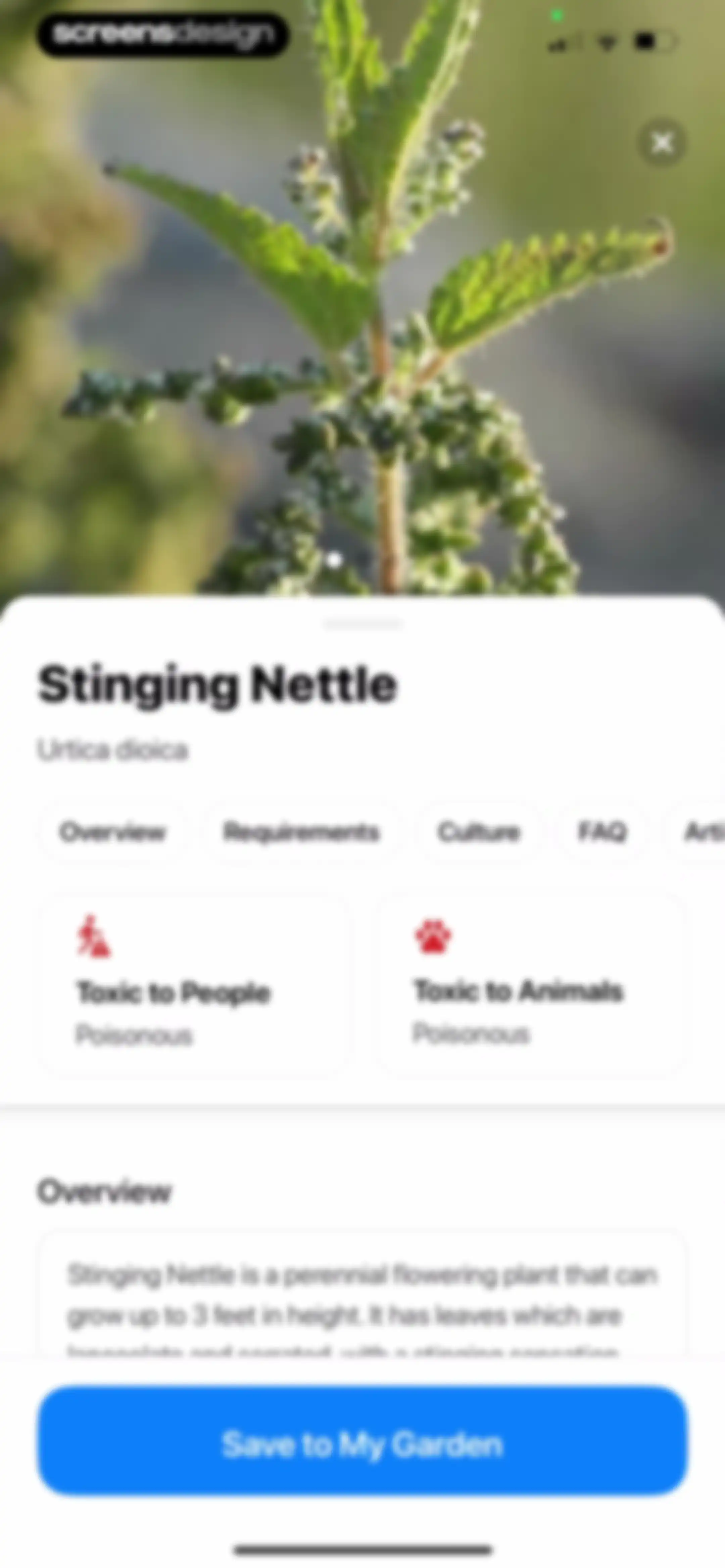Plant App: Plant Identifier screen 79