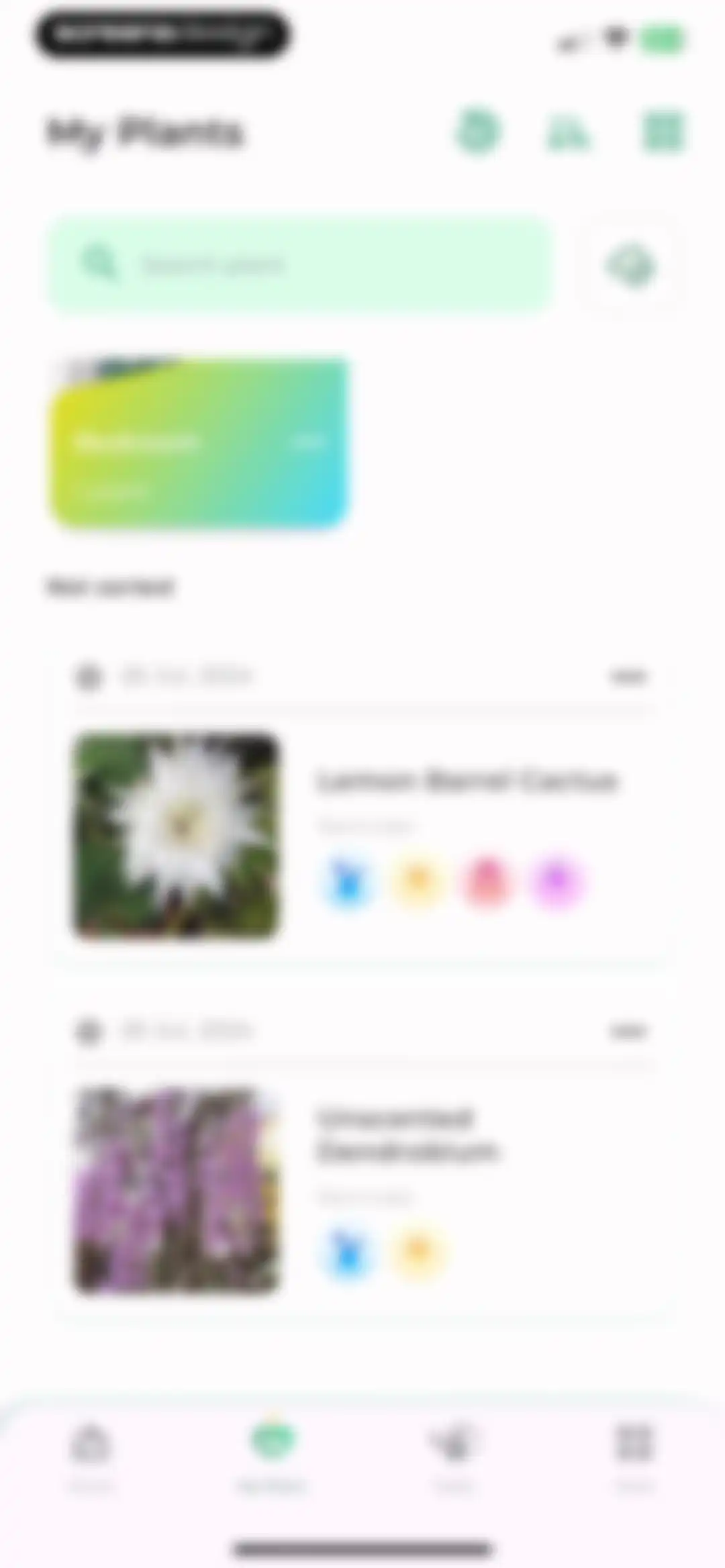 Plant Identifier: LeafSnap screen 66