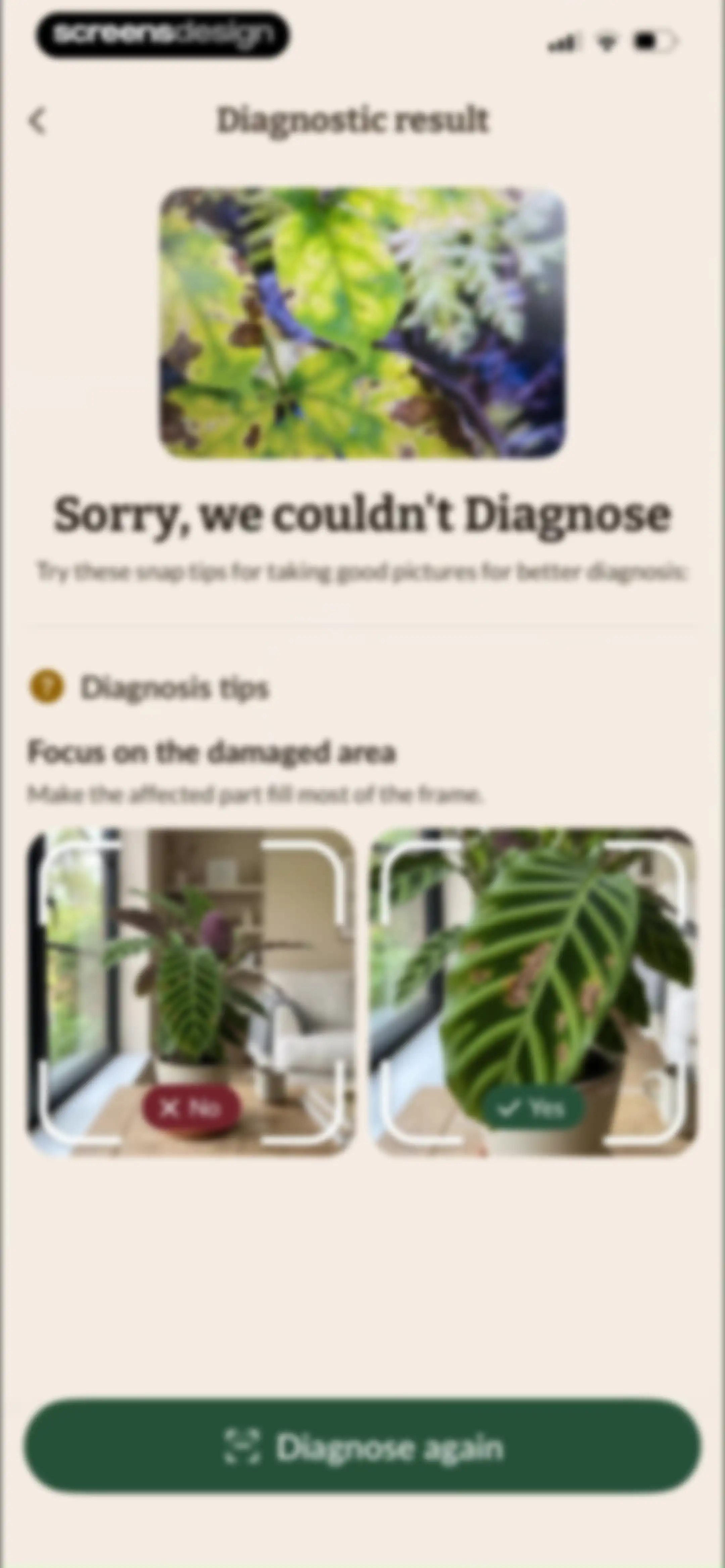 Plant Identification－Plantaria screen 74