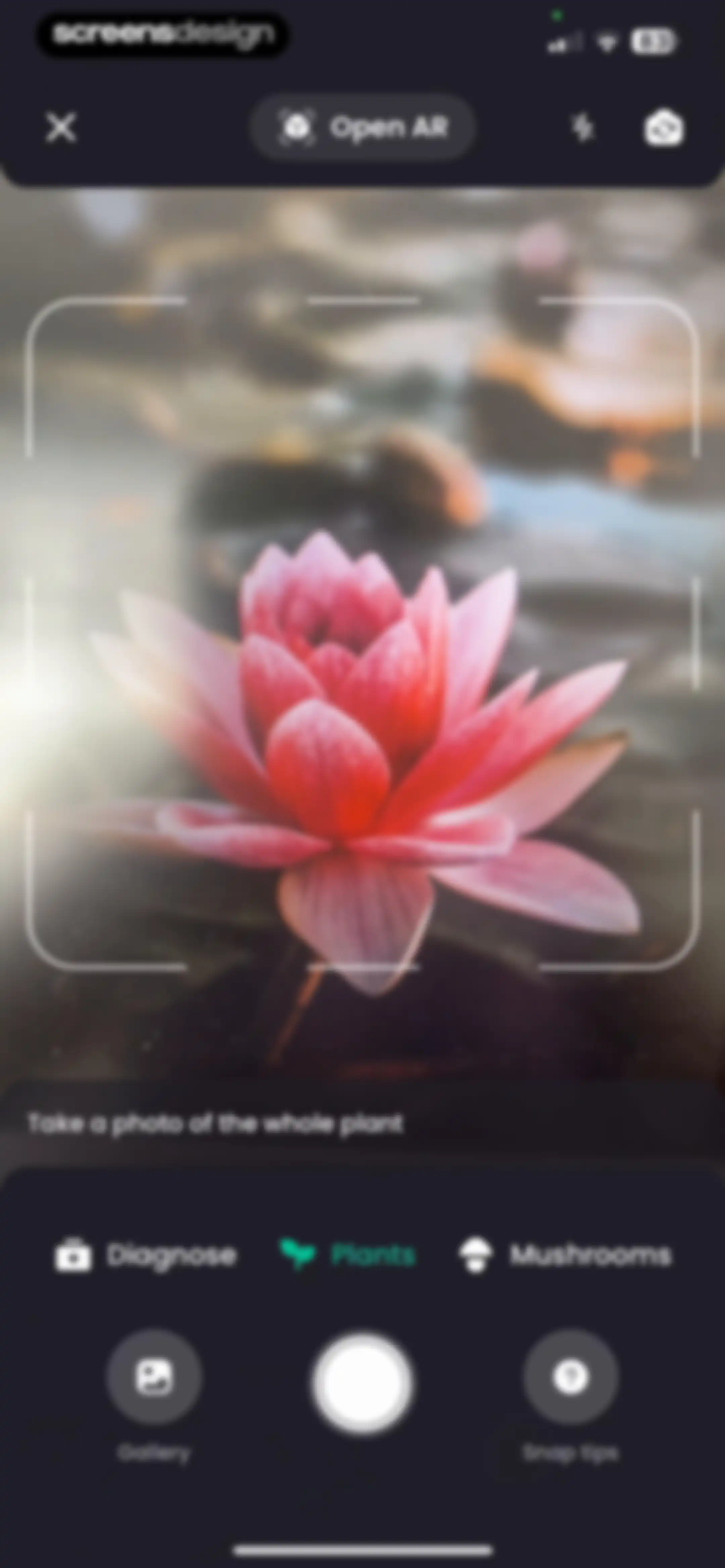 PlantIn: Plant Identifier・Care screen 21