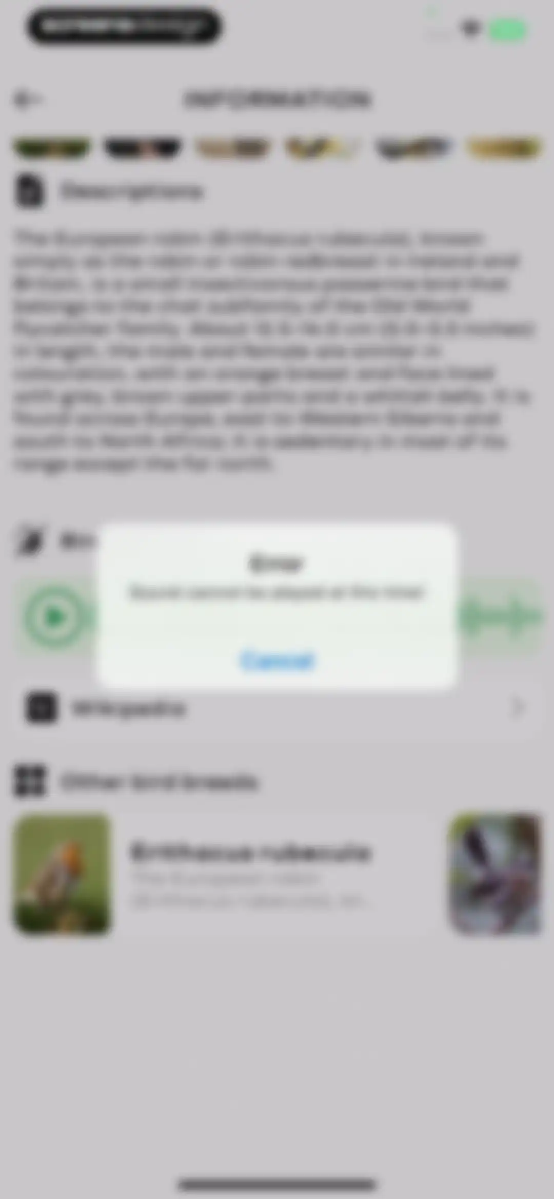 Bird Sounds Identifier Call ID screen 19