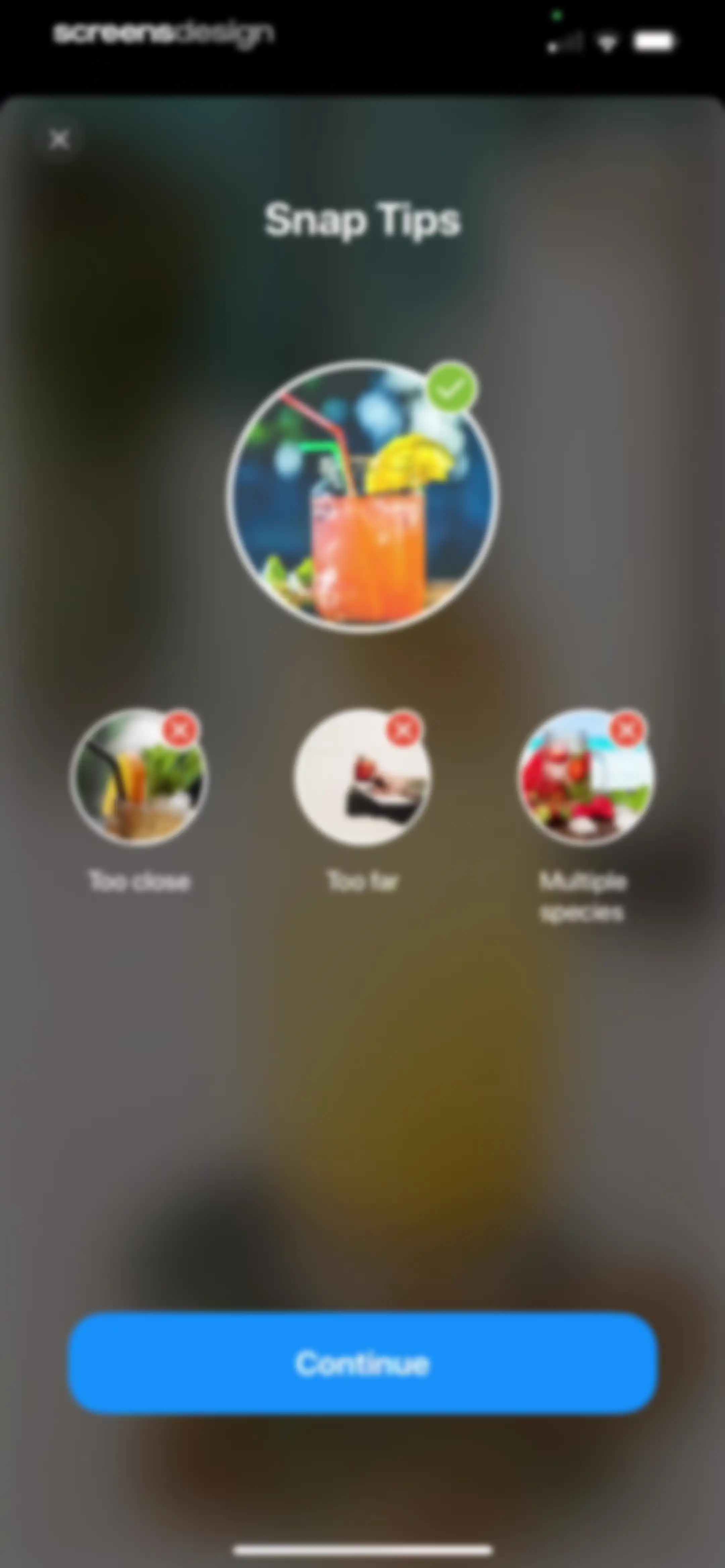 QR Code Reader, Scan Barcode screen 30
