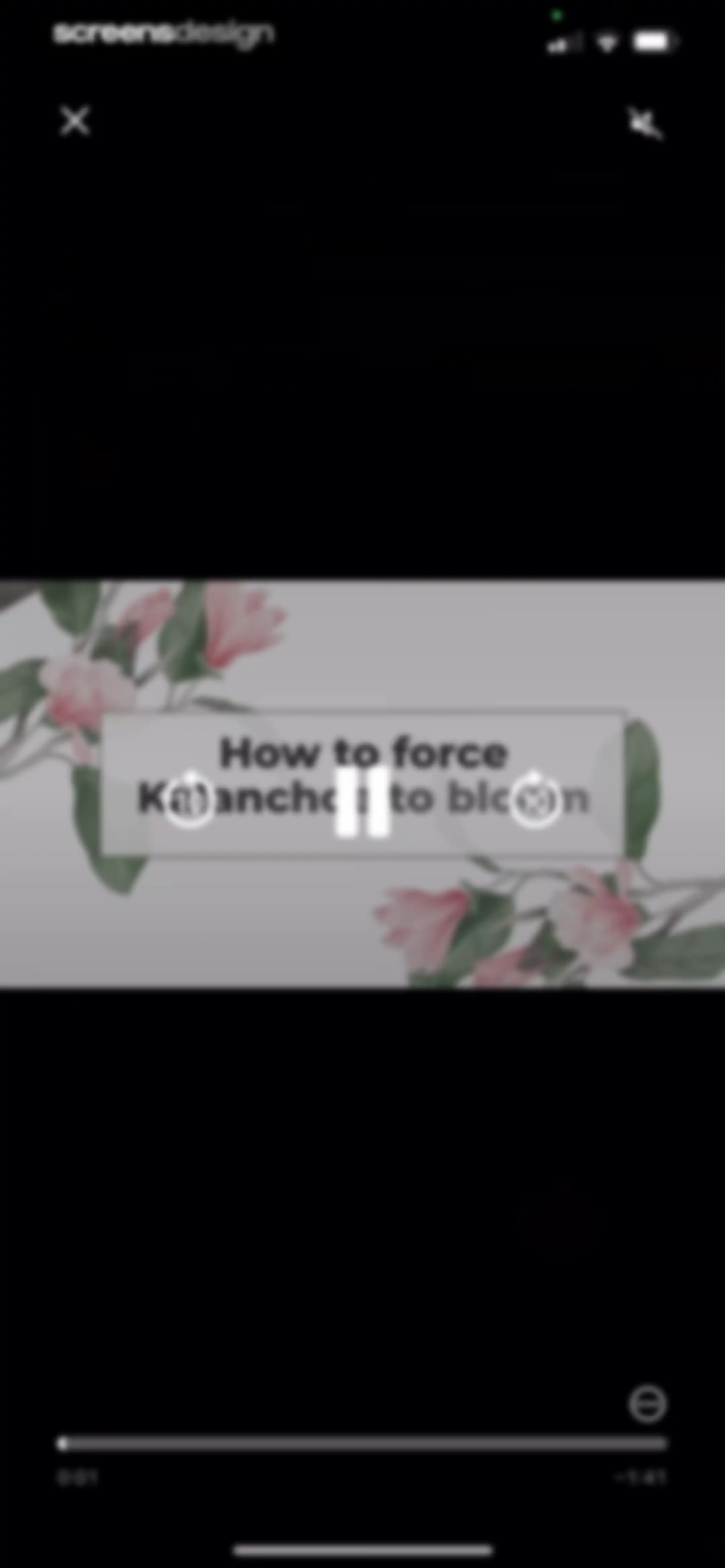 Blossom - Plant Care Guide screen 154