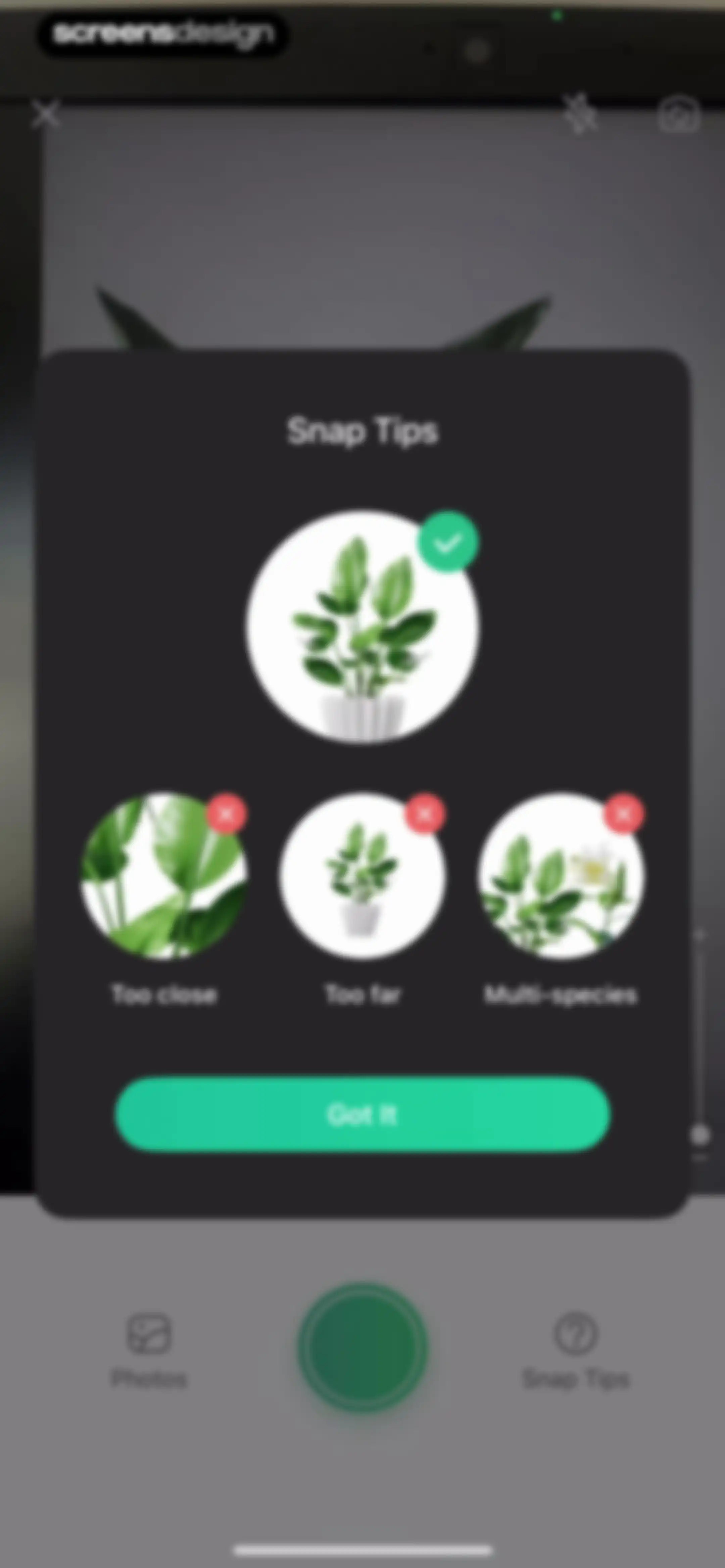 Plant Parent: Plant Care Guide screen 31