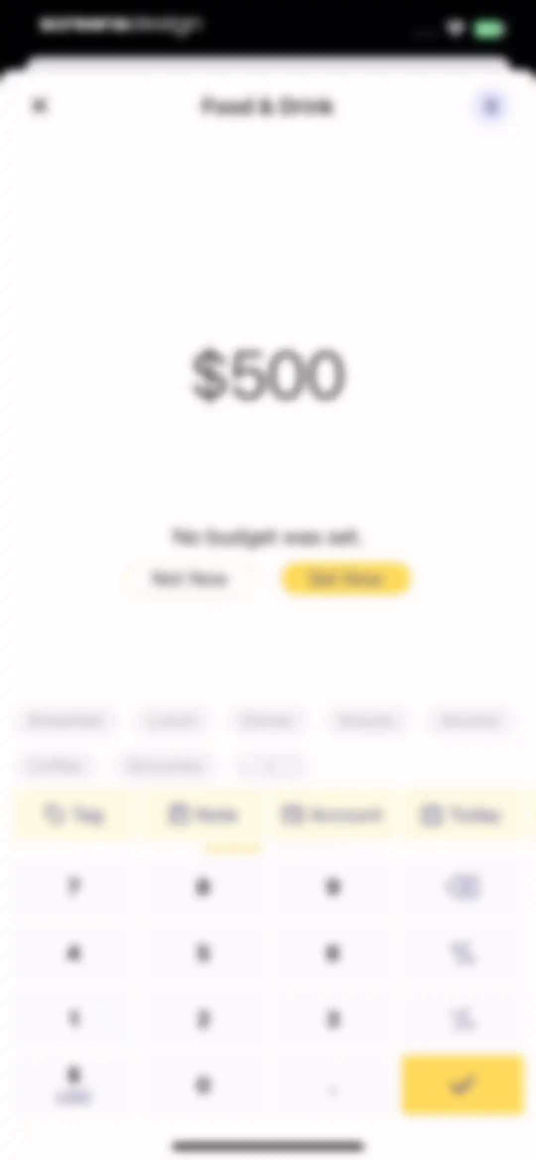Budget app - spending tracker screen 29
