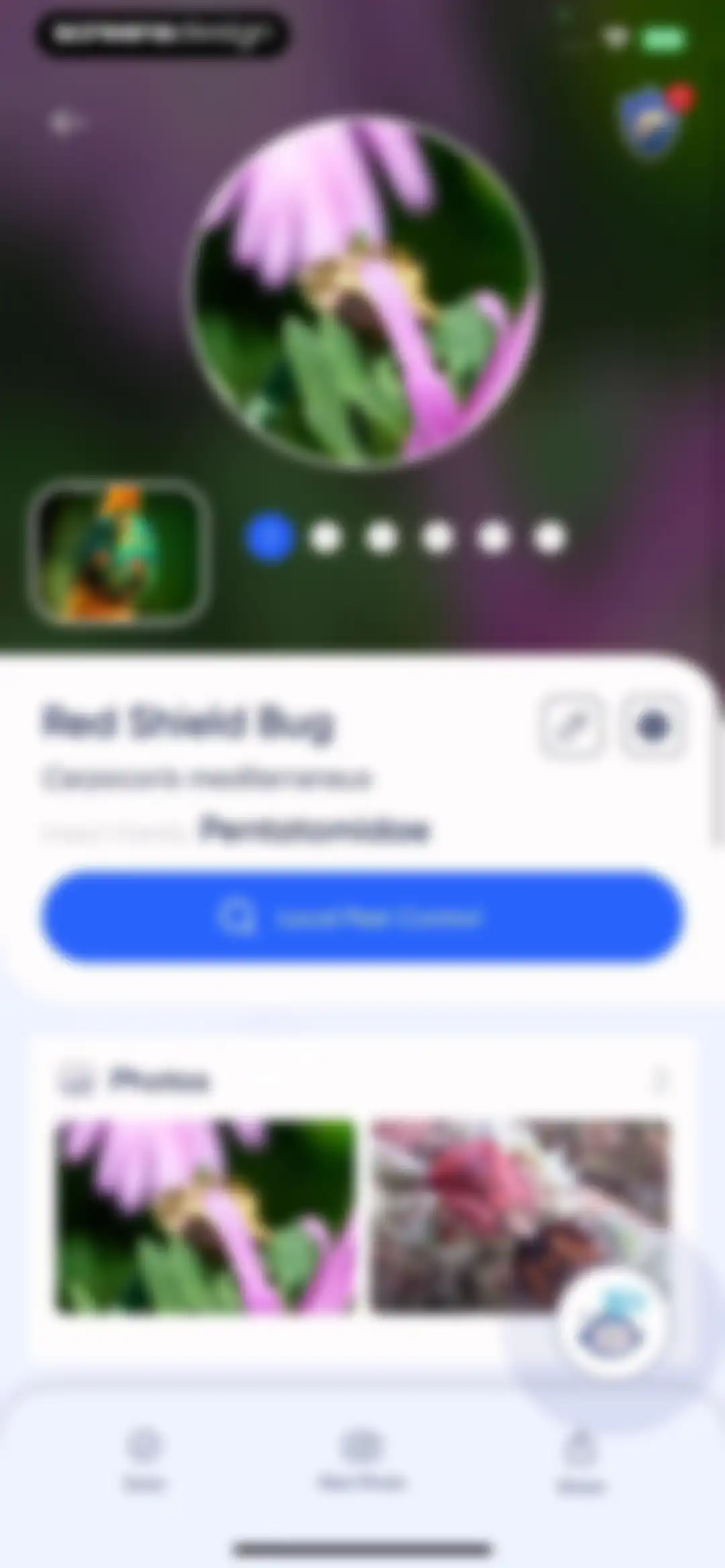 Bug Identifier: AI Insect id screen 16