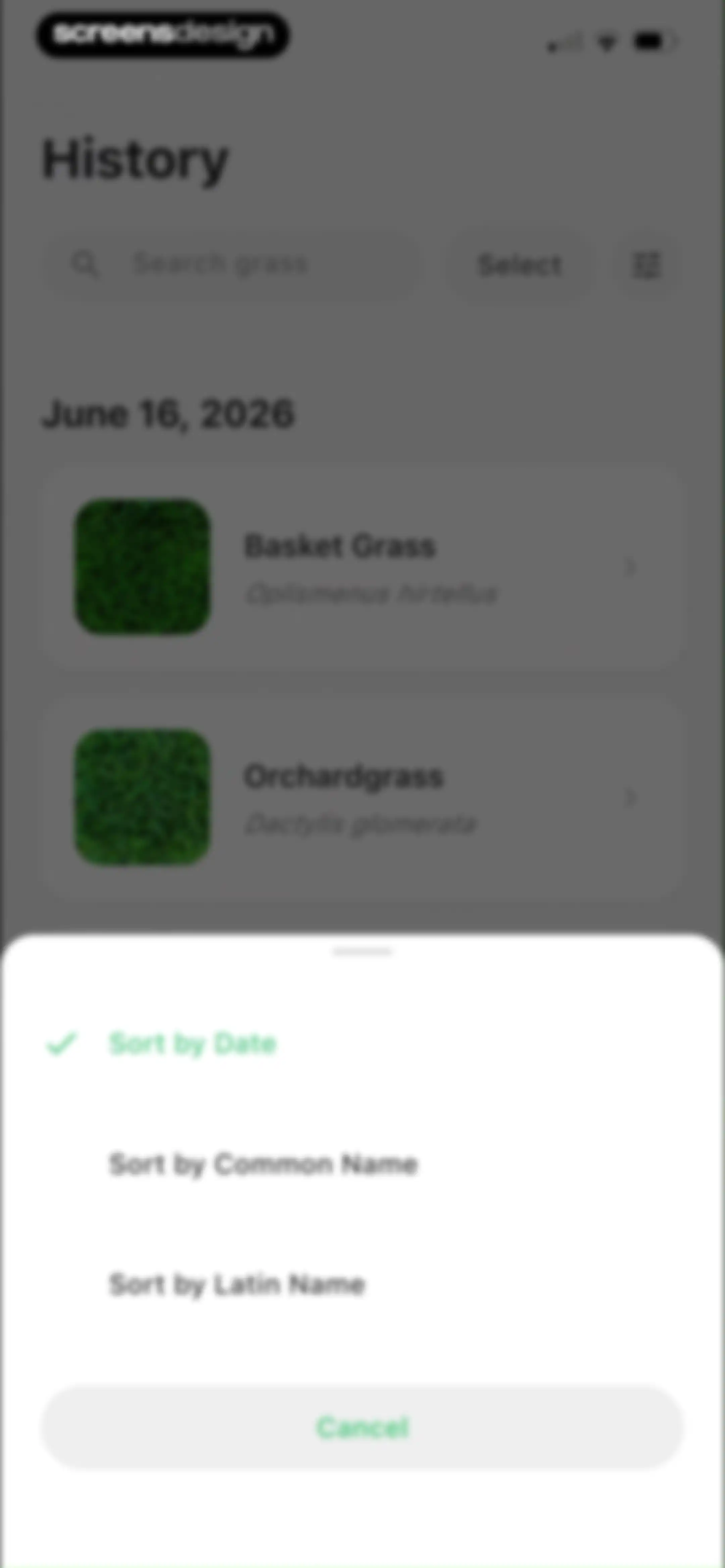 Grass Identifier: AI Scan screen 53