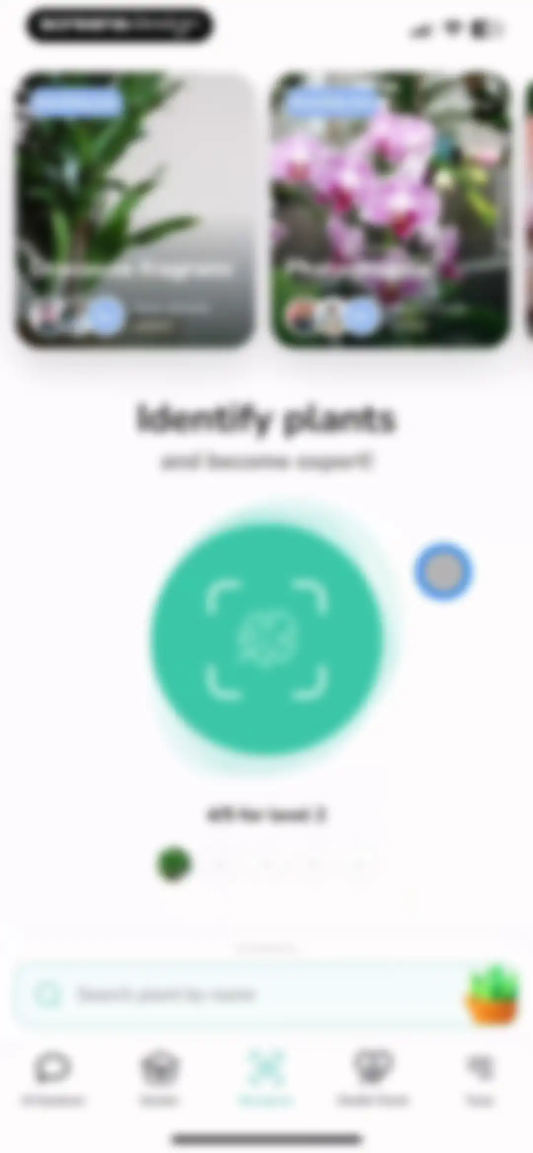 Plant Identifier - PlantMe screen 35
