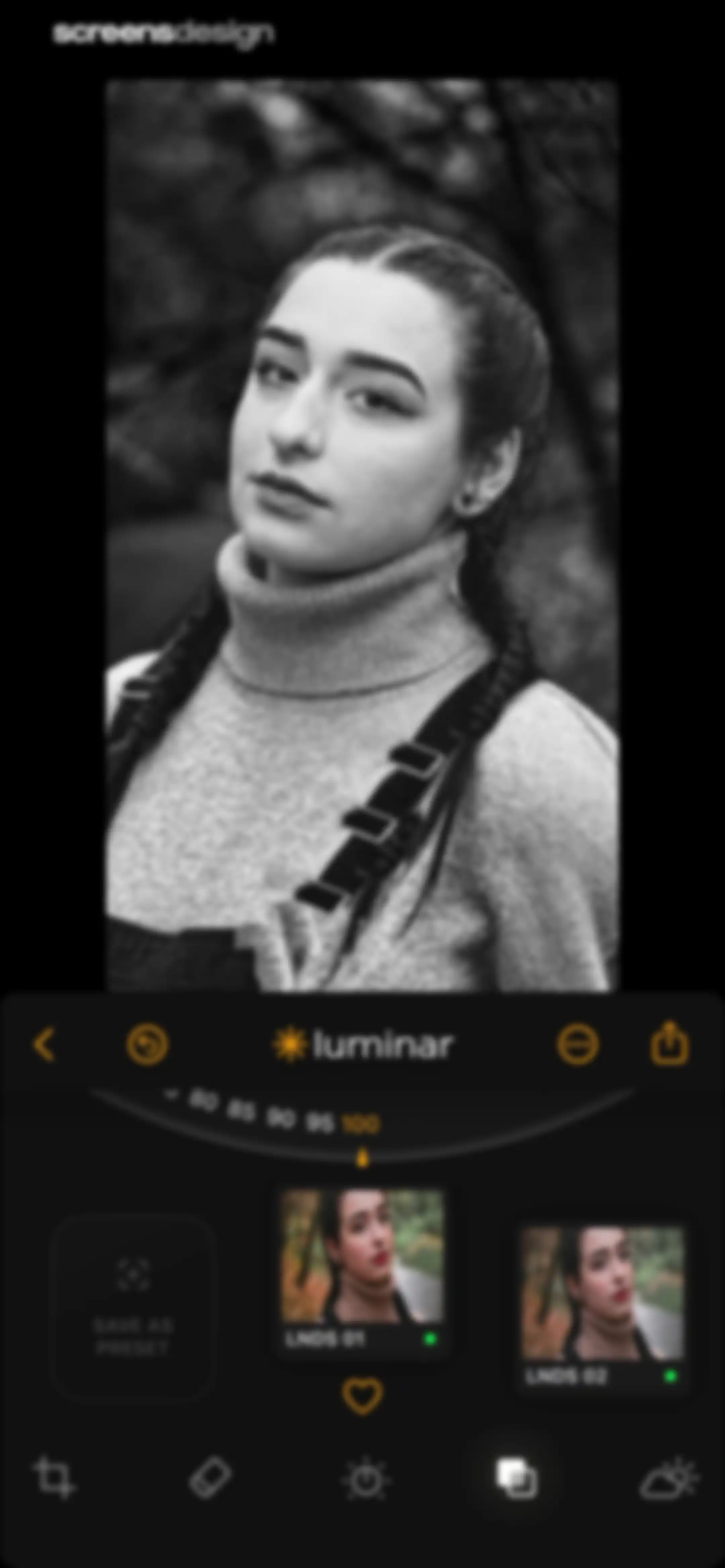 Luminar: Image Editor&Enhancer screen 44