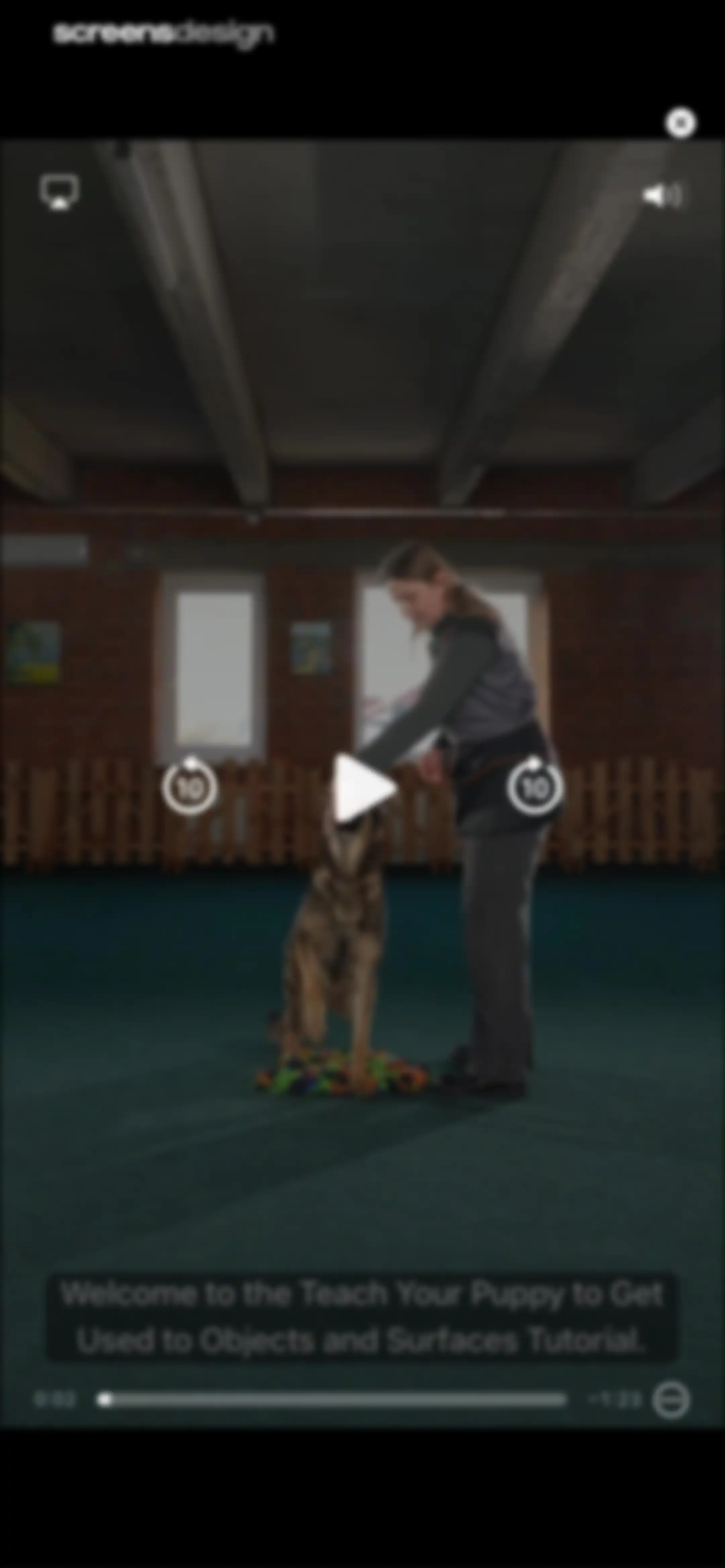 PawChamp - Dog Training & Care screen 57
