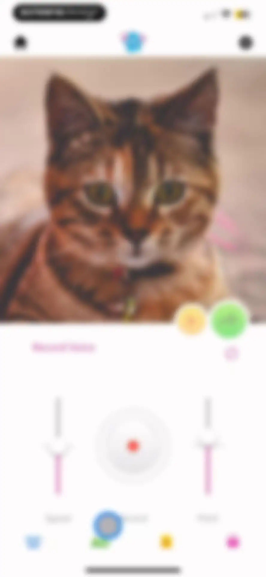 My Talking Pet screen 28