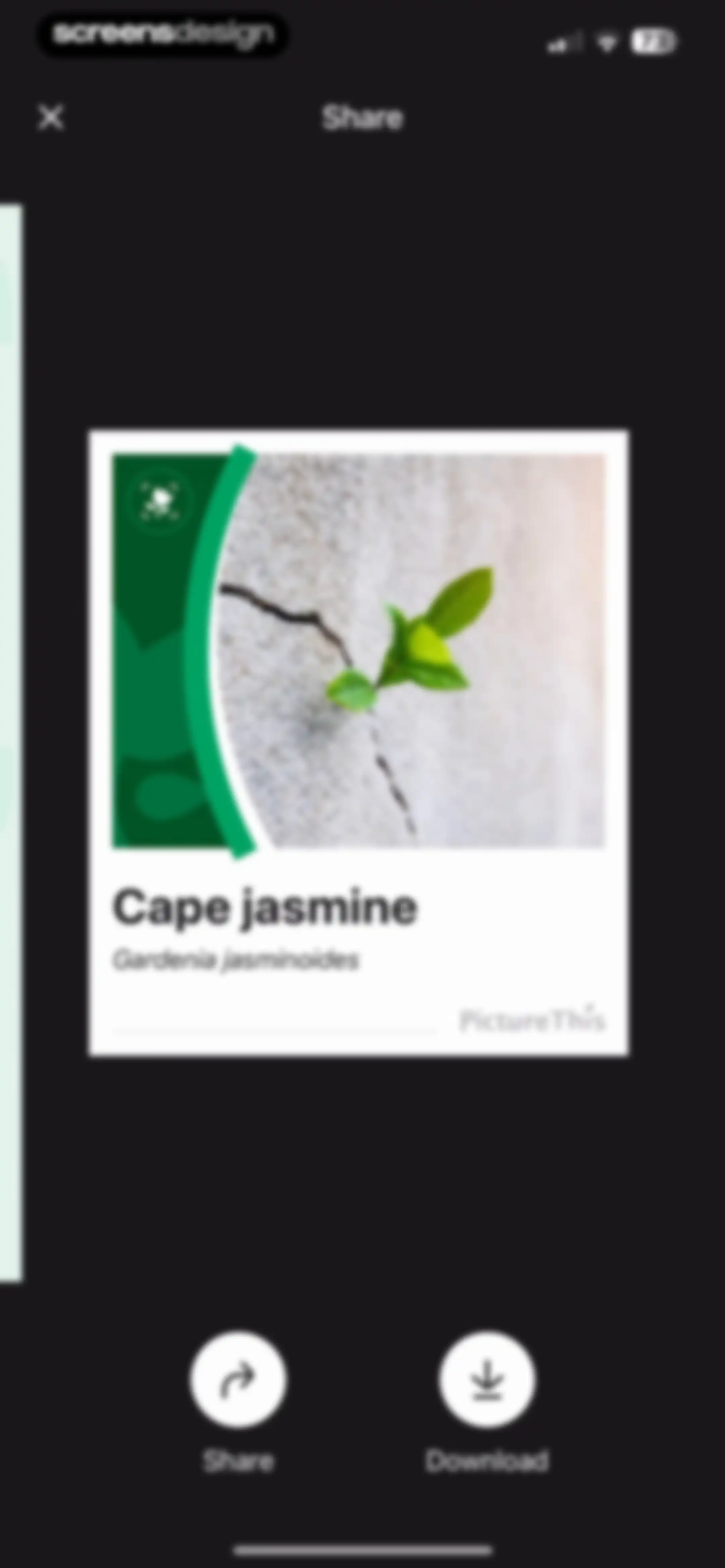 PictureThis - Plant Identifier screen 70