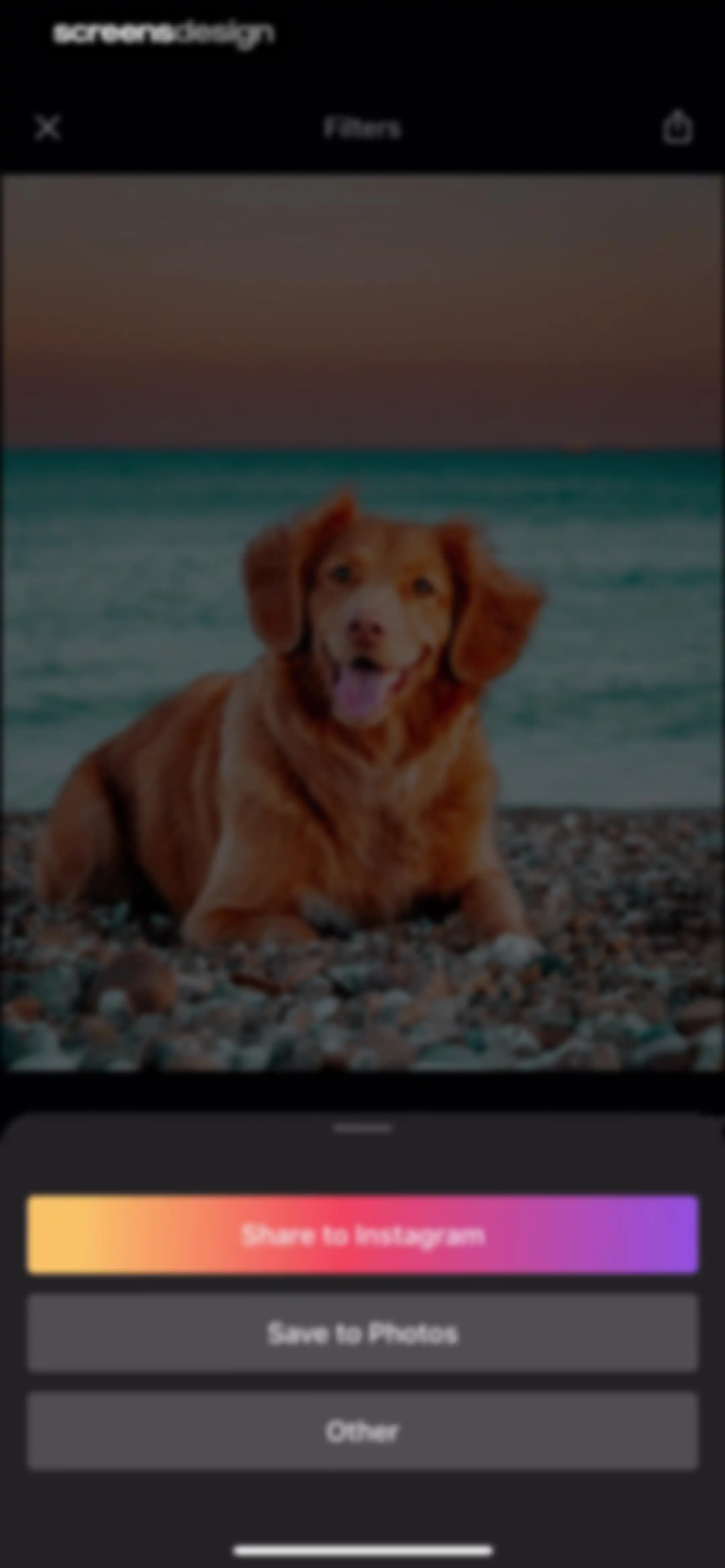Presets for Lightroom - FLTR screen 70
