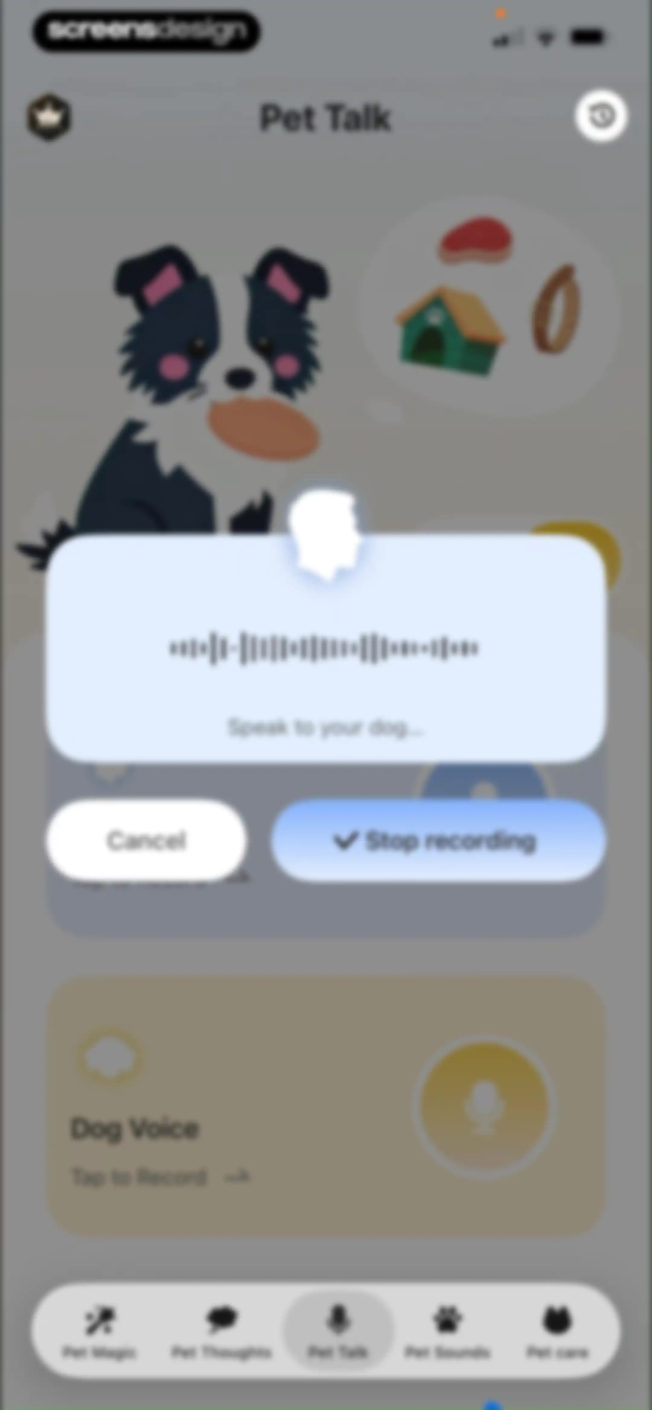 Pet Chat: Cat & Dog Translator screen 16