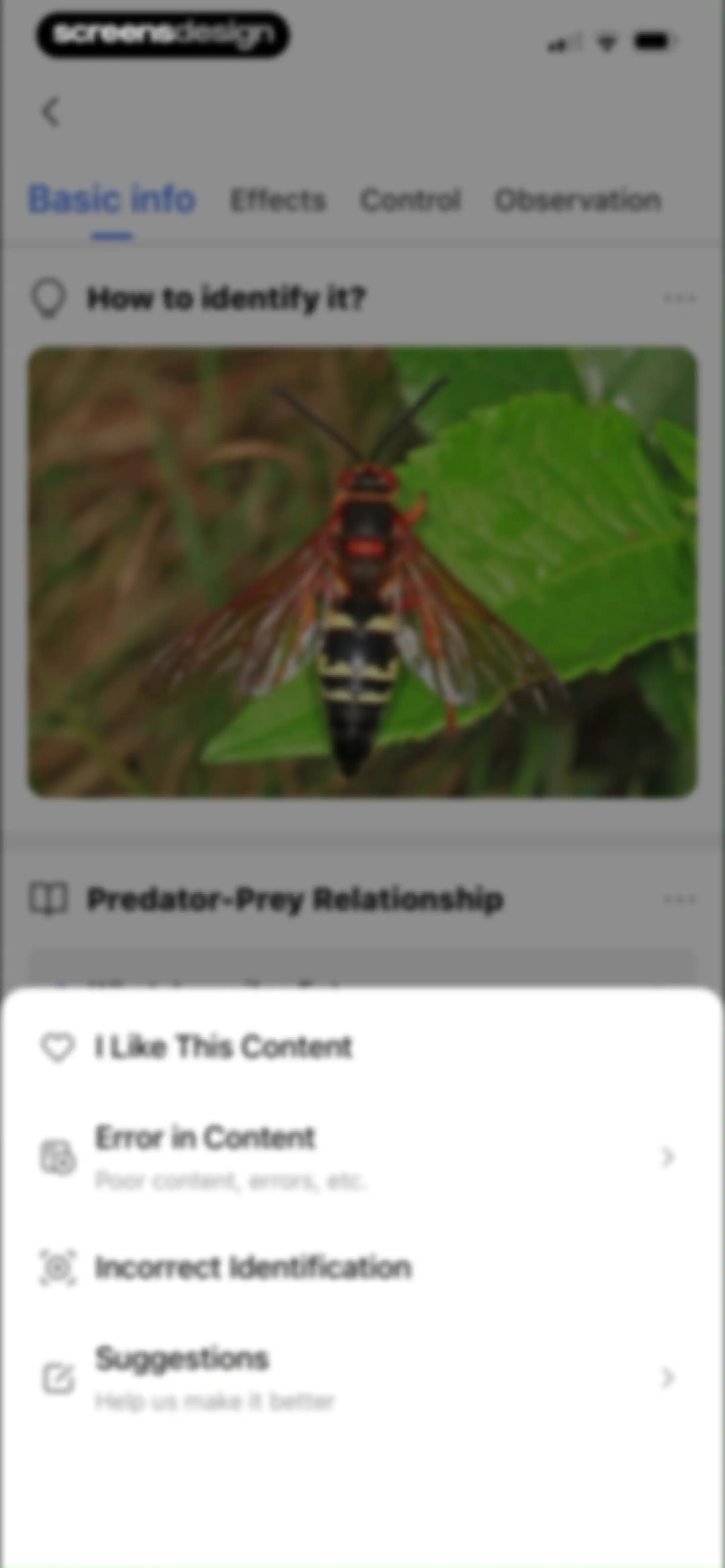 Picture Insect: Bug Identifier screen 36