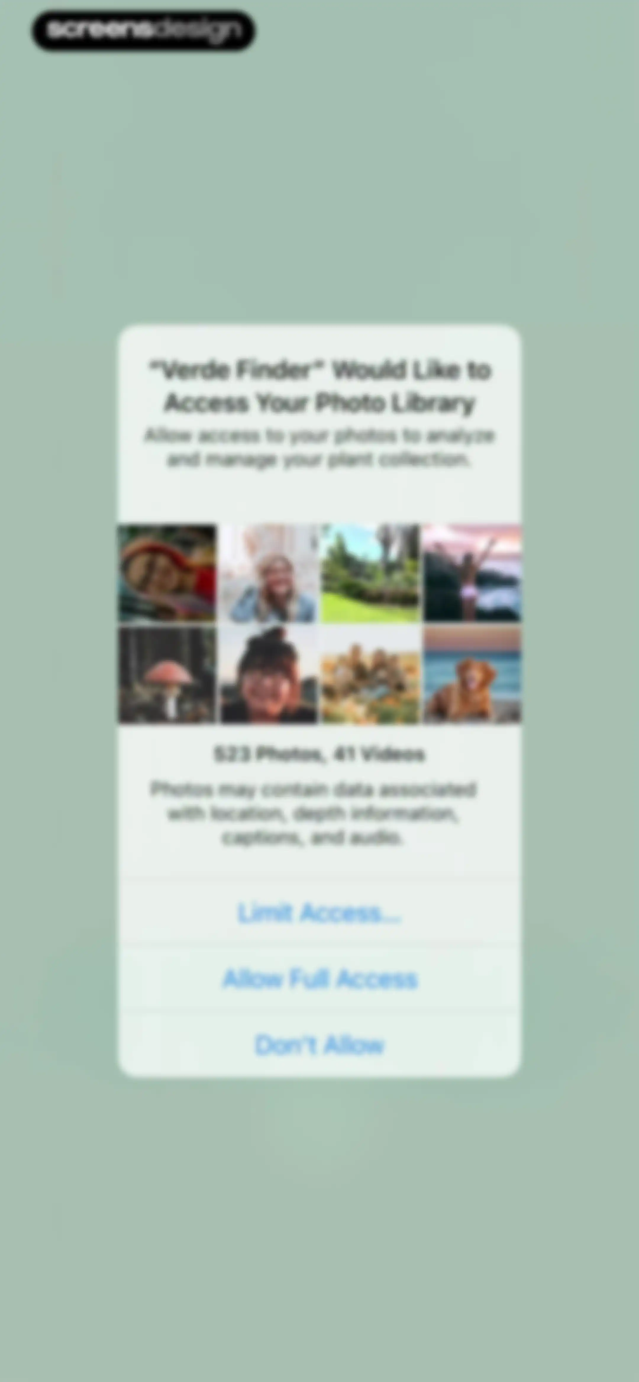 Verde Finder : identify plants screen 21