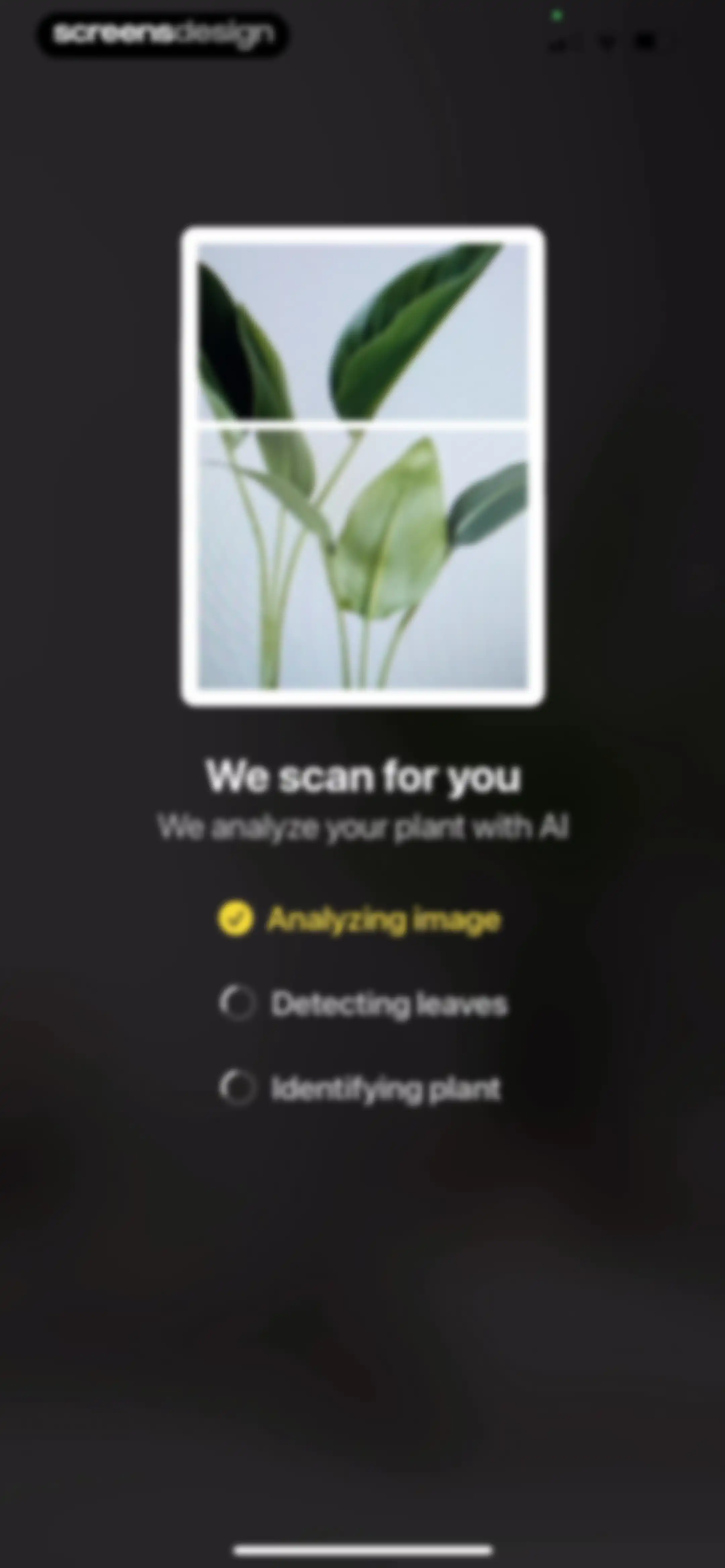 Plant App: Plant Identifier screen 41