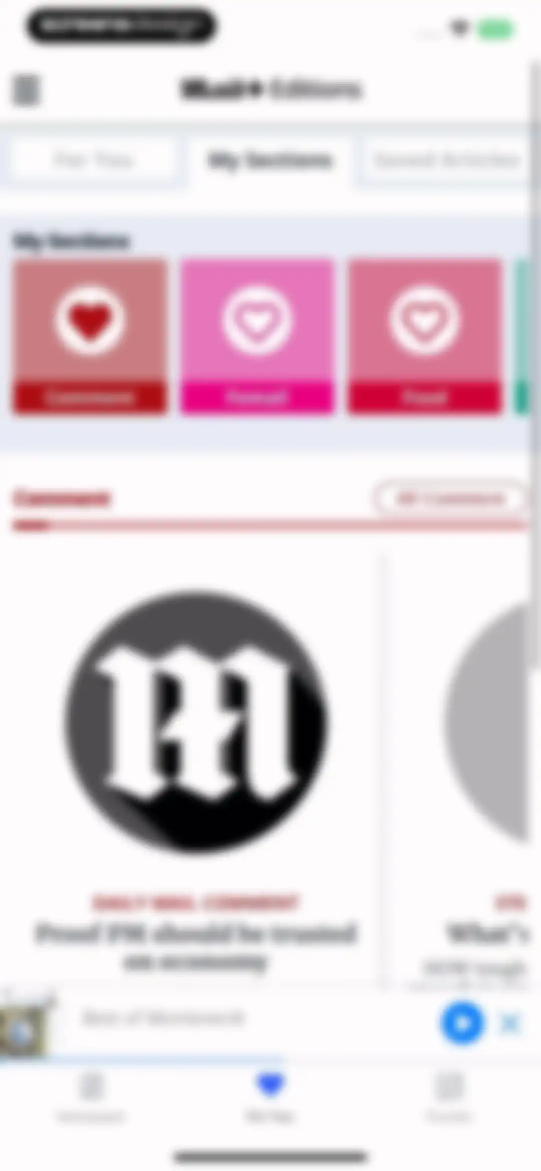 Daily Mail Newspaper screen 35