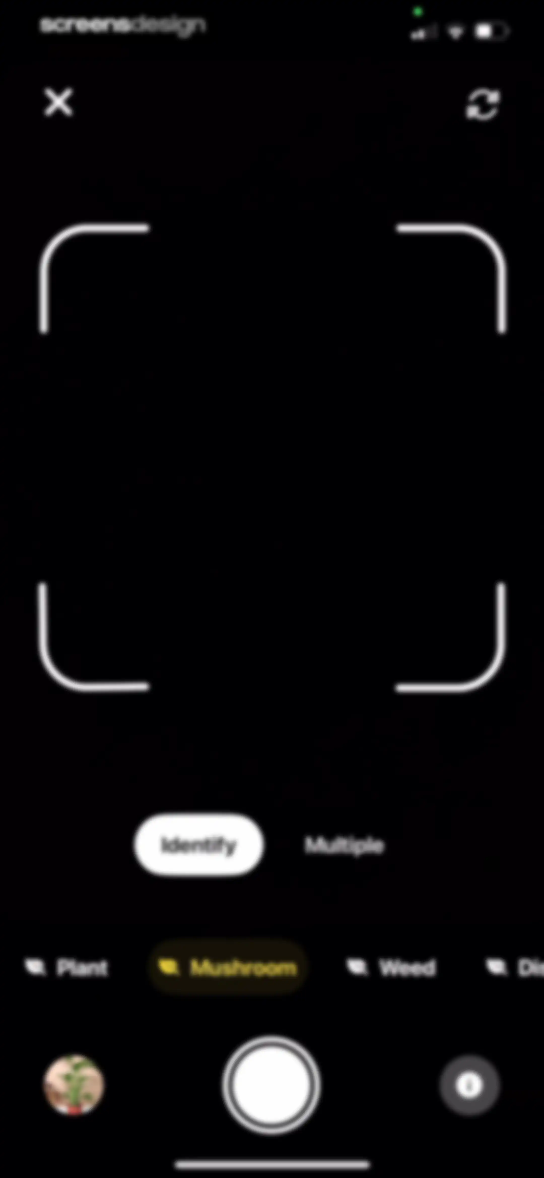 Plant App: Plant Identifier screen 157