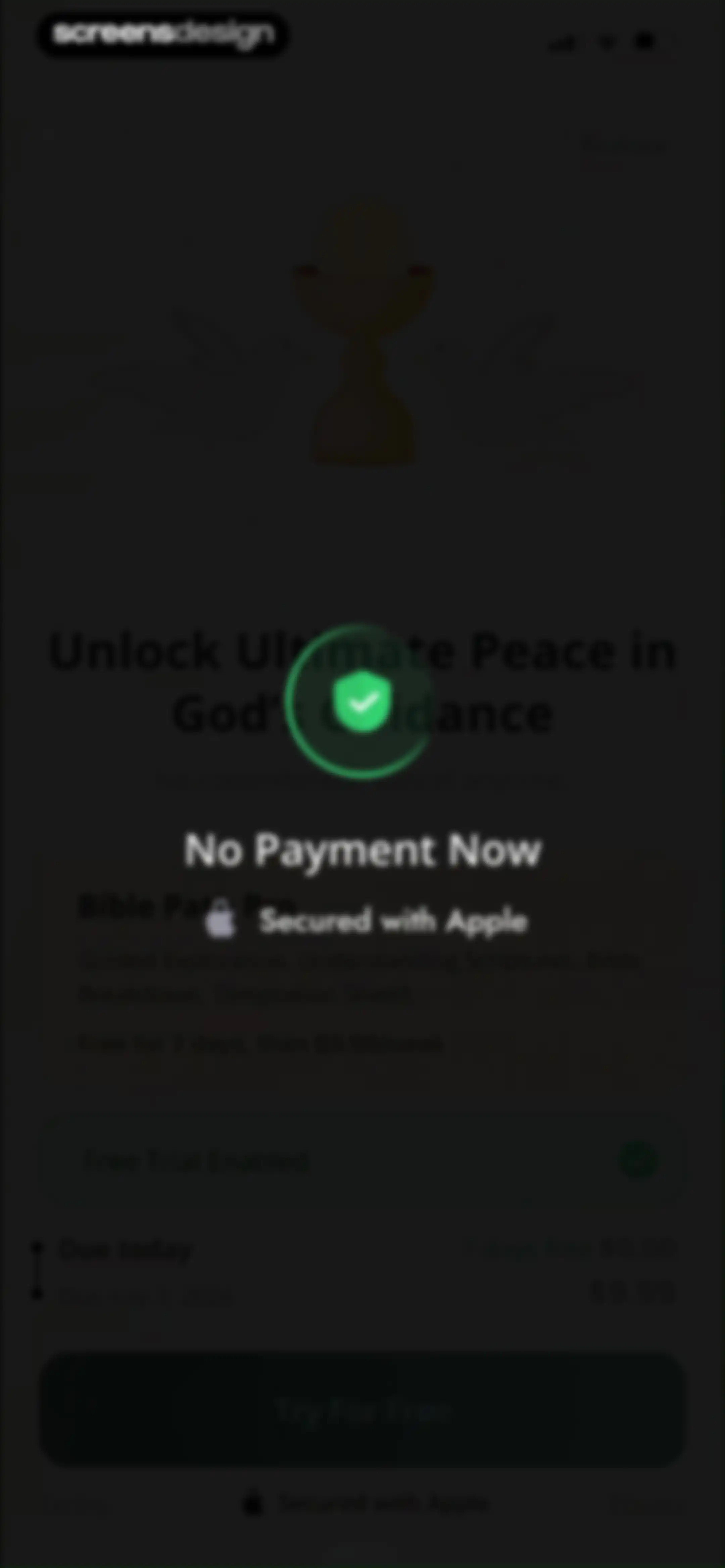 Bible Path: Prayers & Widgets screen 19