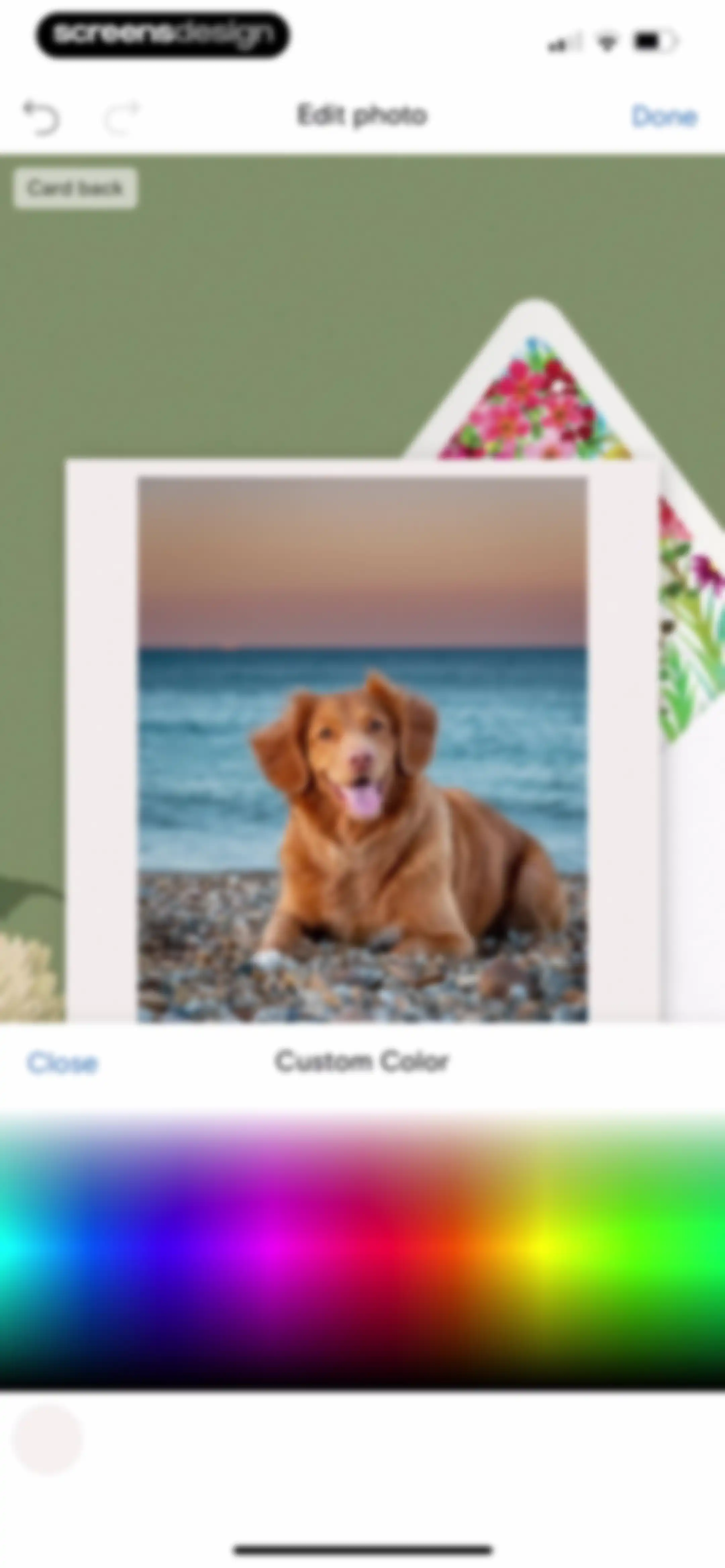 Paperless Post: Invitations screen 40