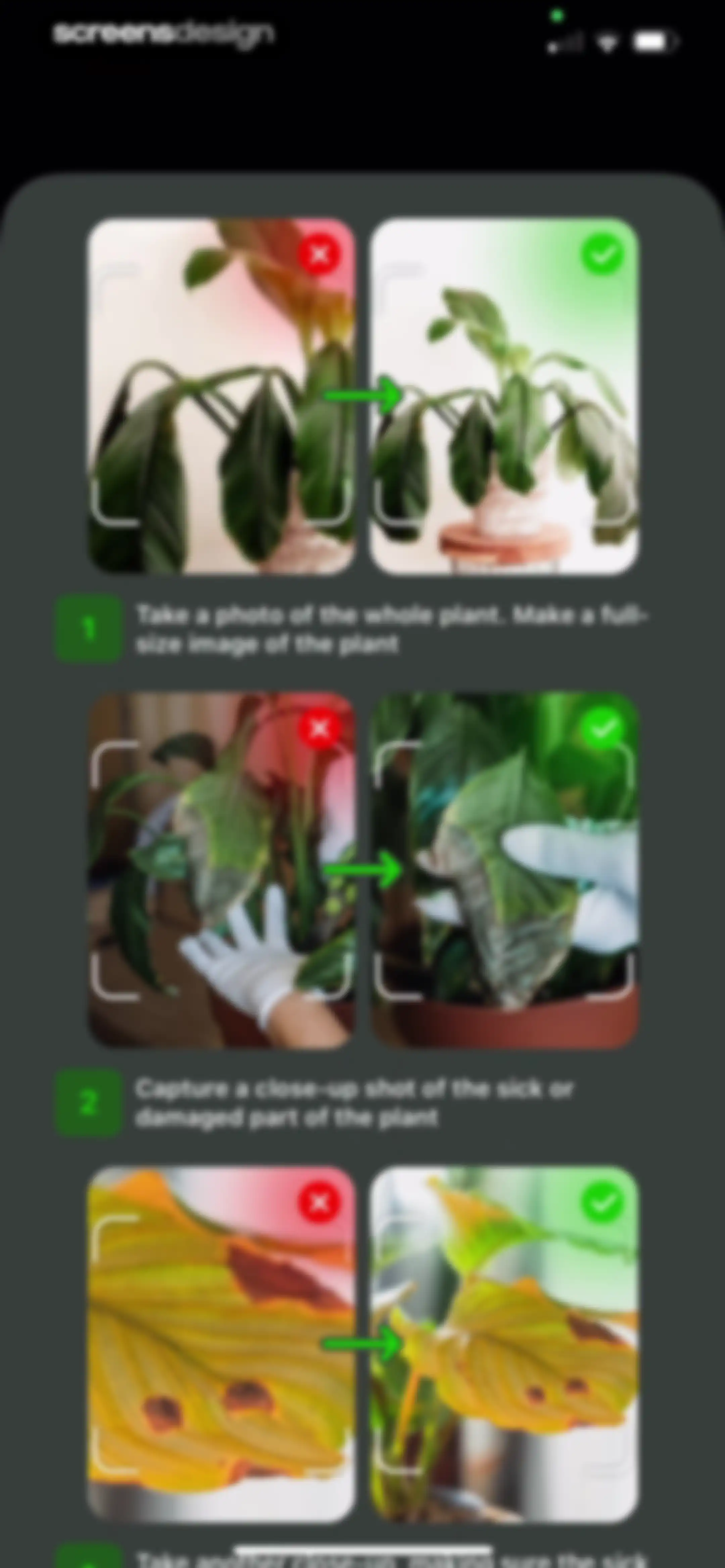 Plant Identifier & Care App screen 42