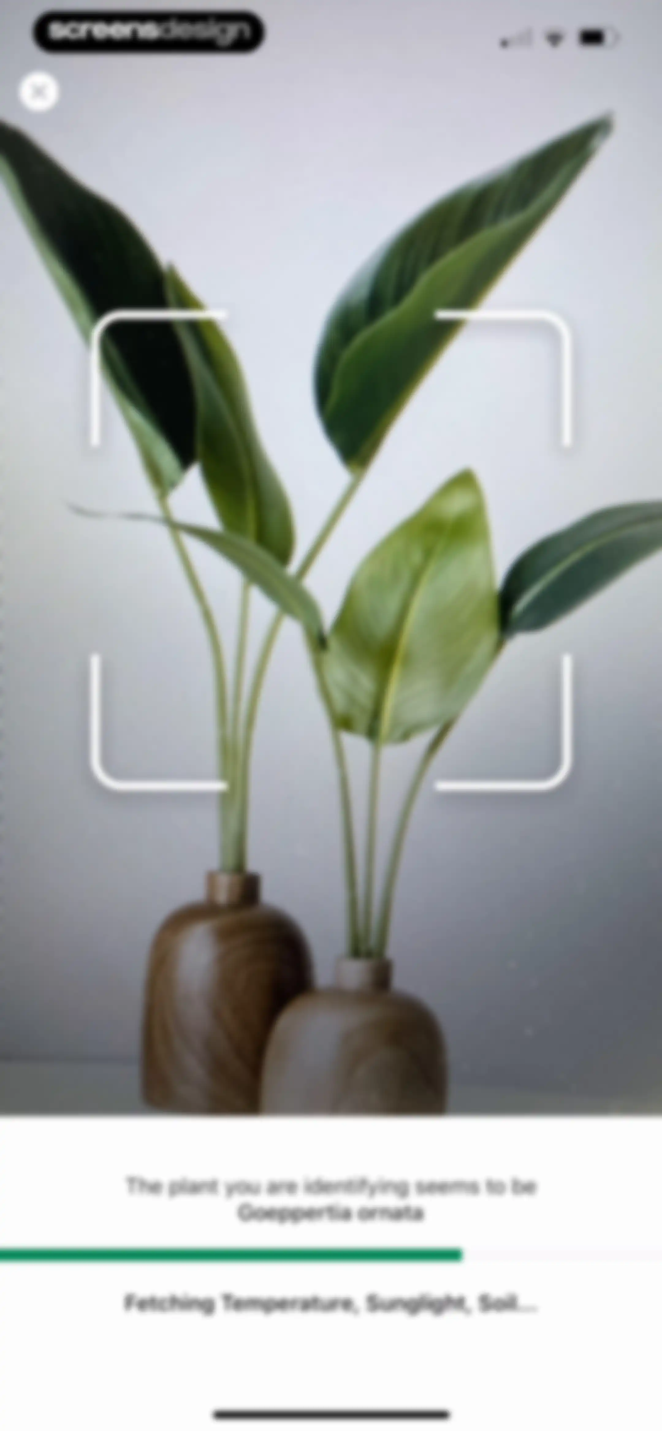 Identify My Plant Now screen 30