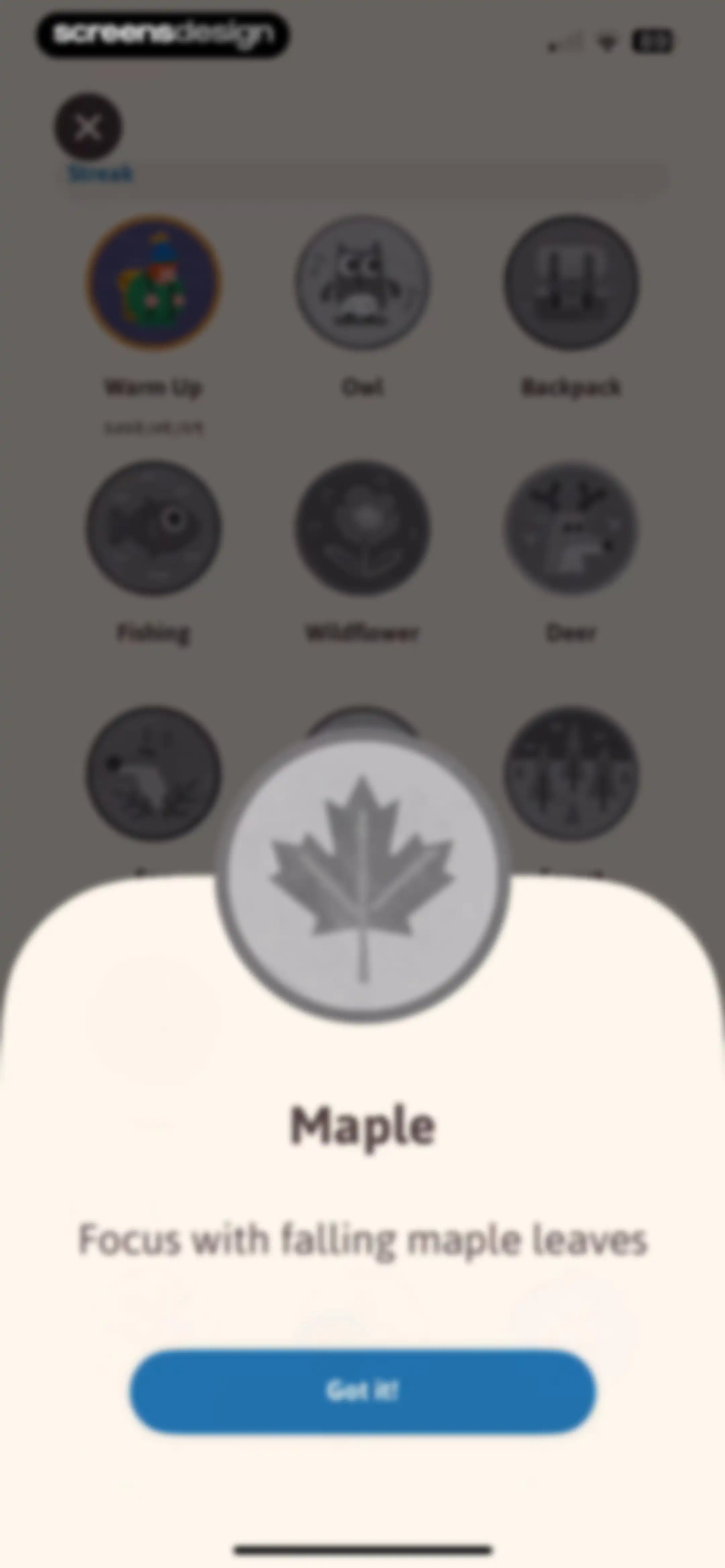 Focus Traveller - Flow Timer screen 82