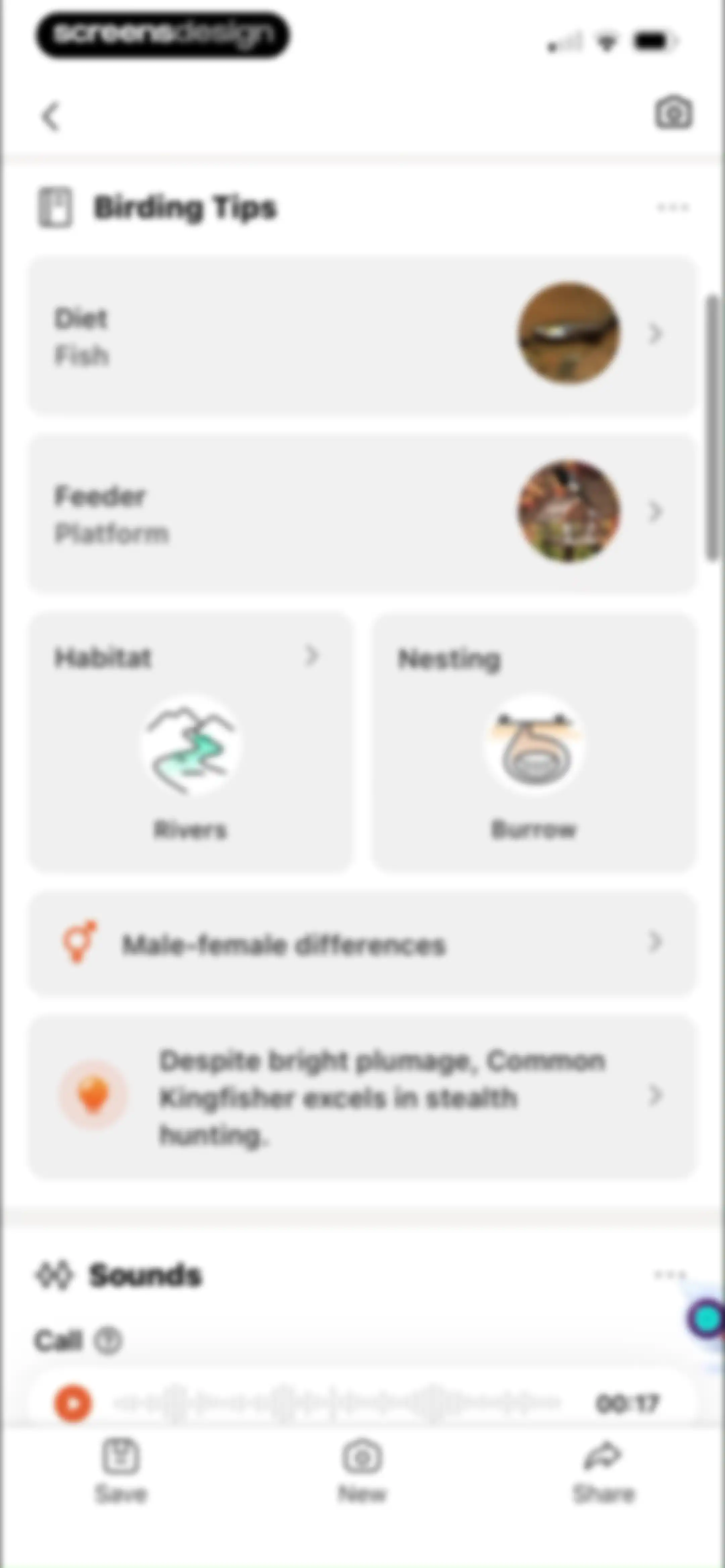 Picture Bird: Bird identifier screen 35